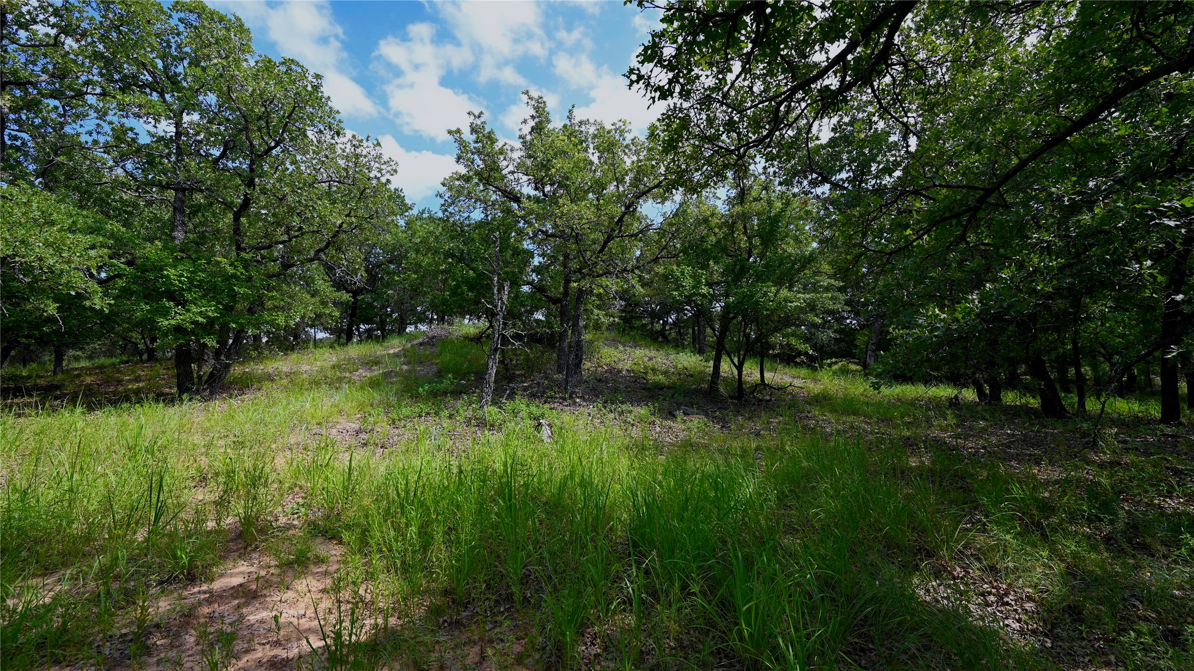 103 Seneca Trail N Nocona TX 76255