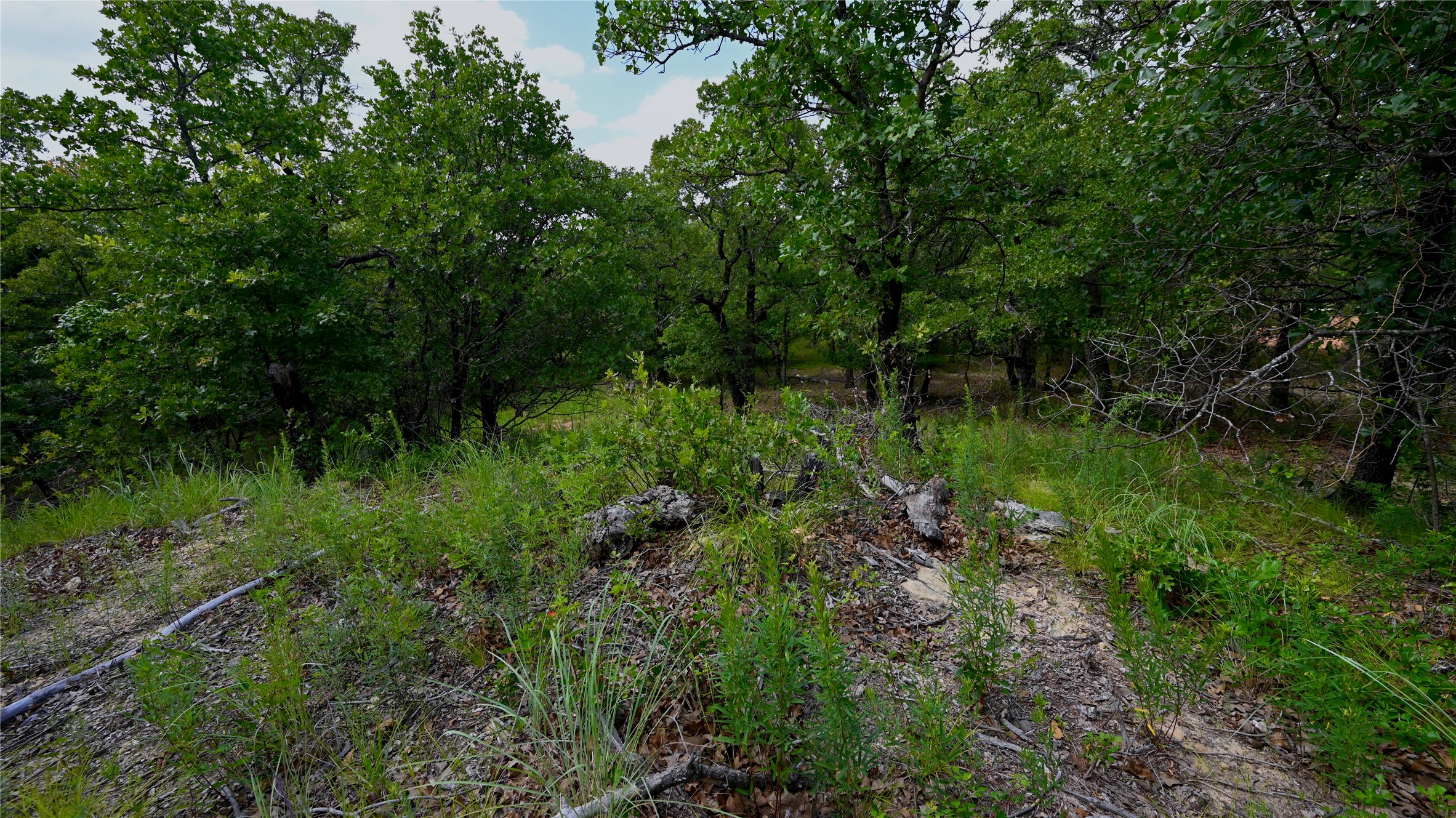 103 Seneca Trail N Nocona TX 76255