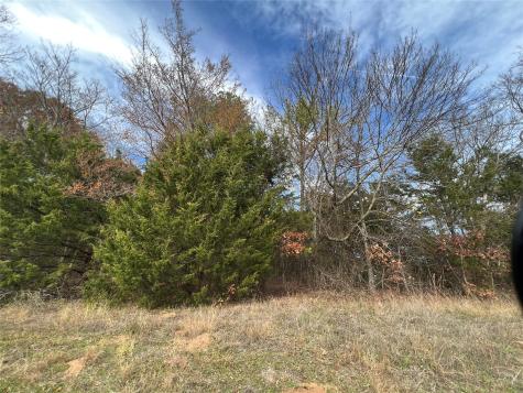 TBD State Highway 64 Ben Wheeler TX 75754