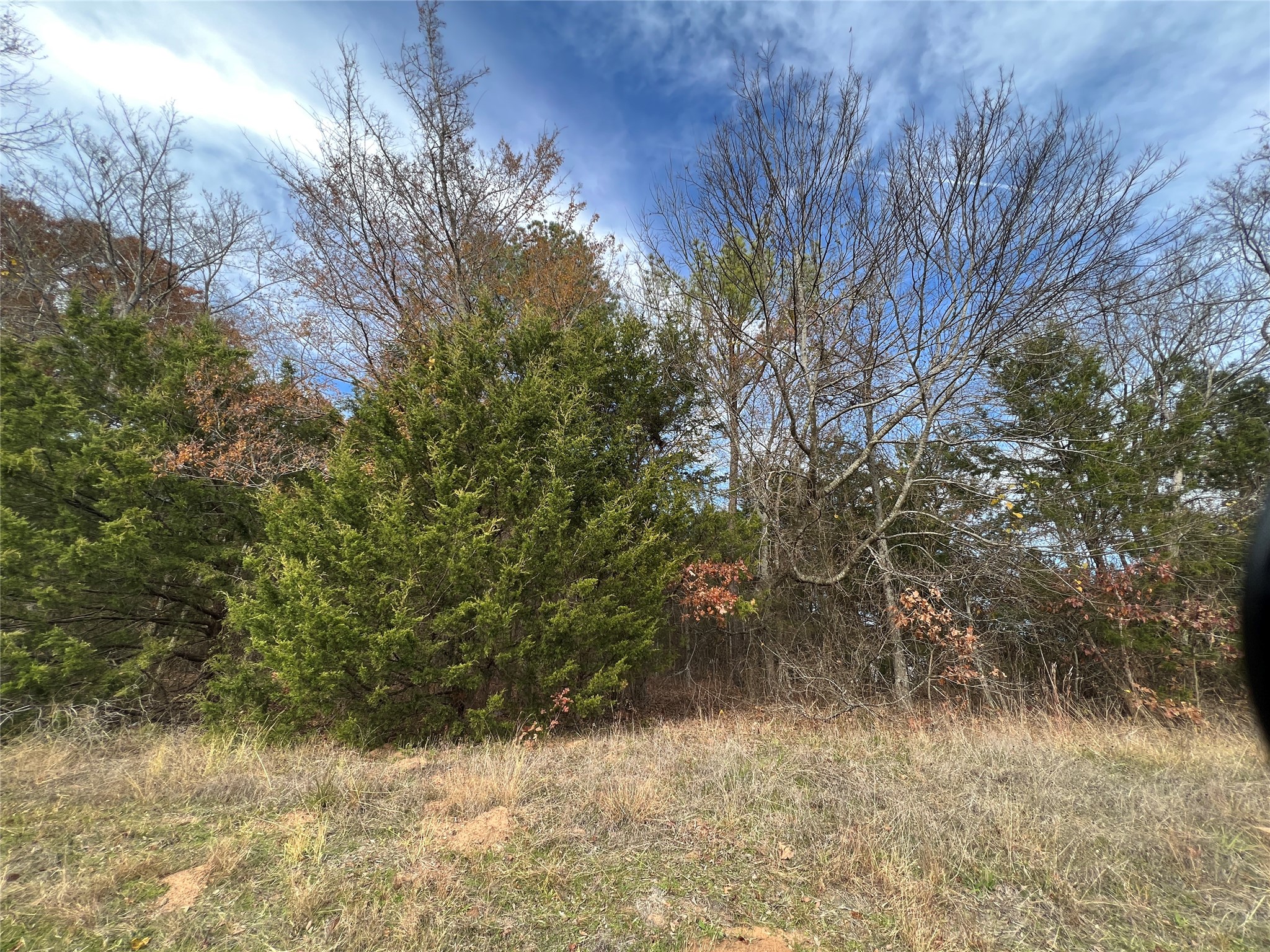 Tbd State Highway 64 Ben Wheeler TX 75754