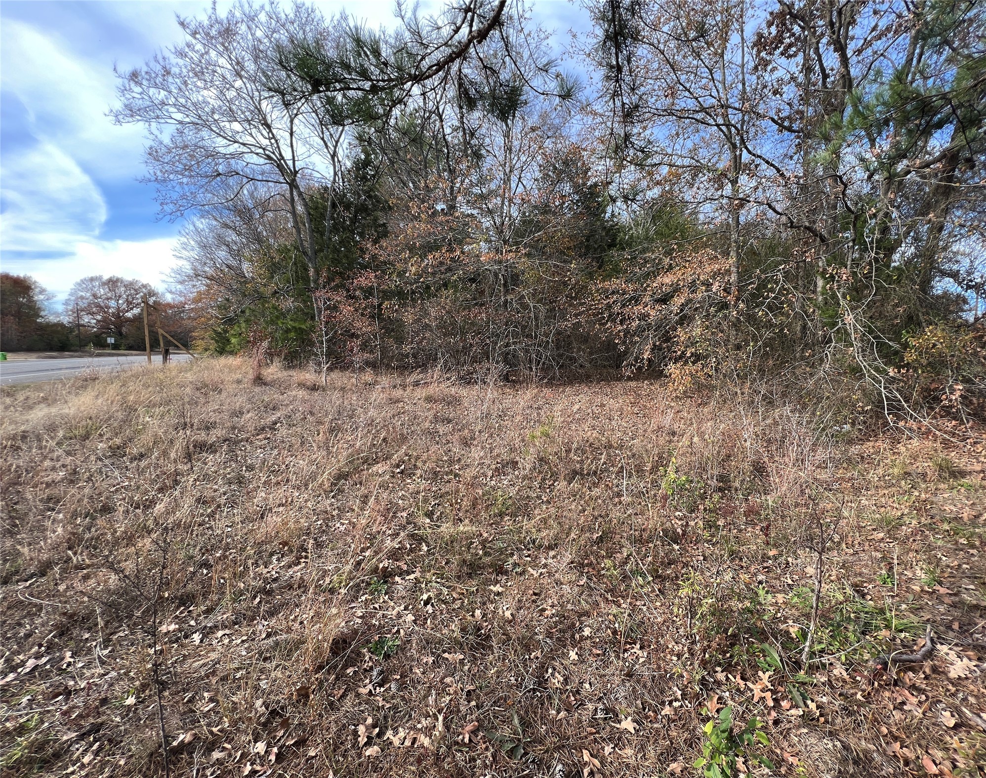 Tbd State Highway 64 Ben Wheeler TX 75754