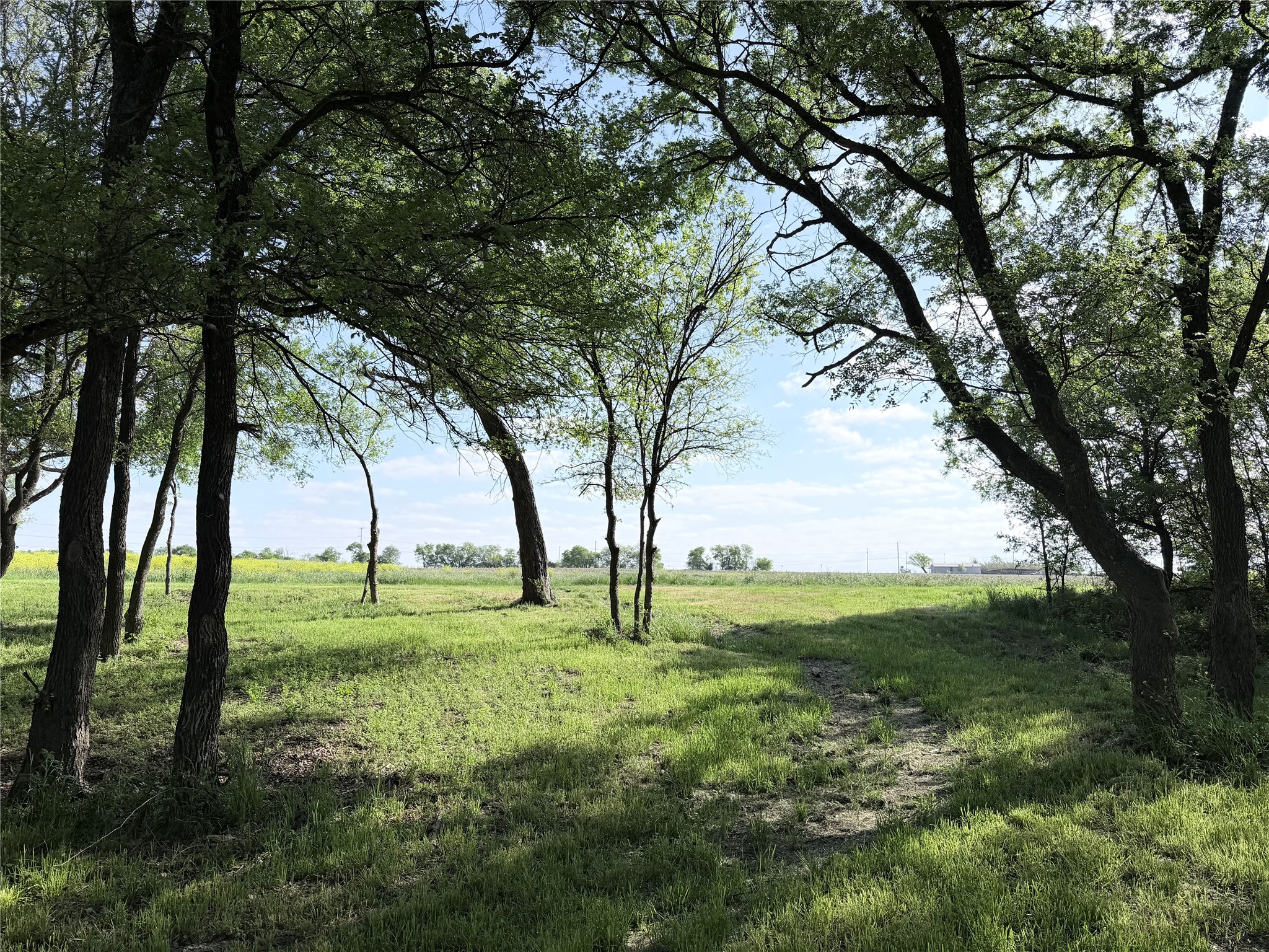 5243 Fm 2114 Abbott TX 76621