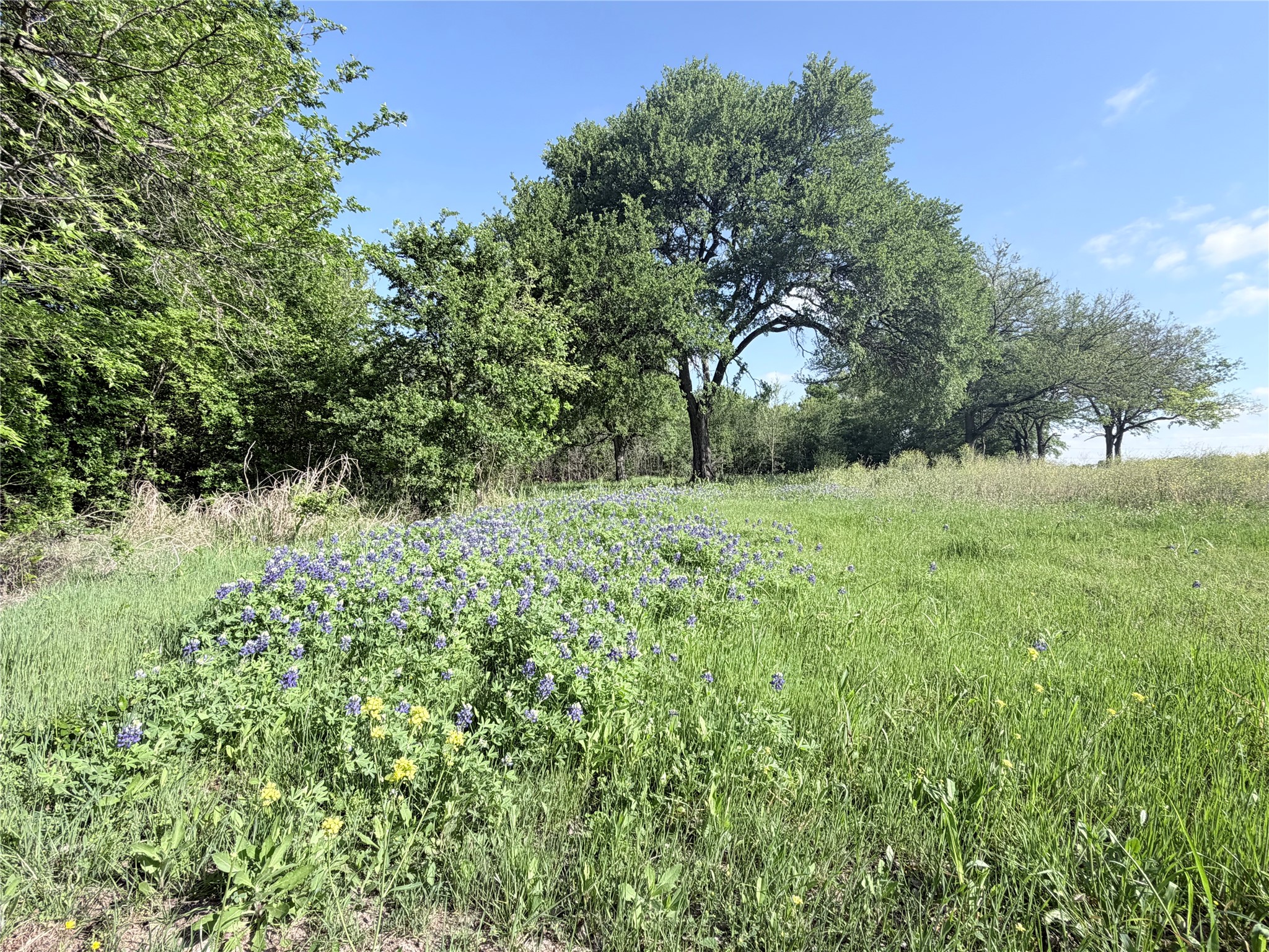 5243 Fm 2114 Abbott TX 76621