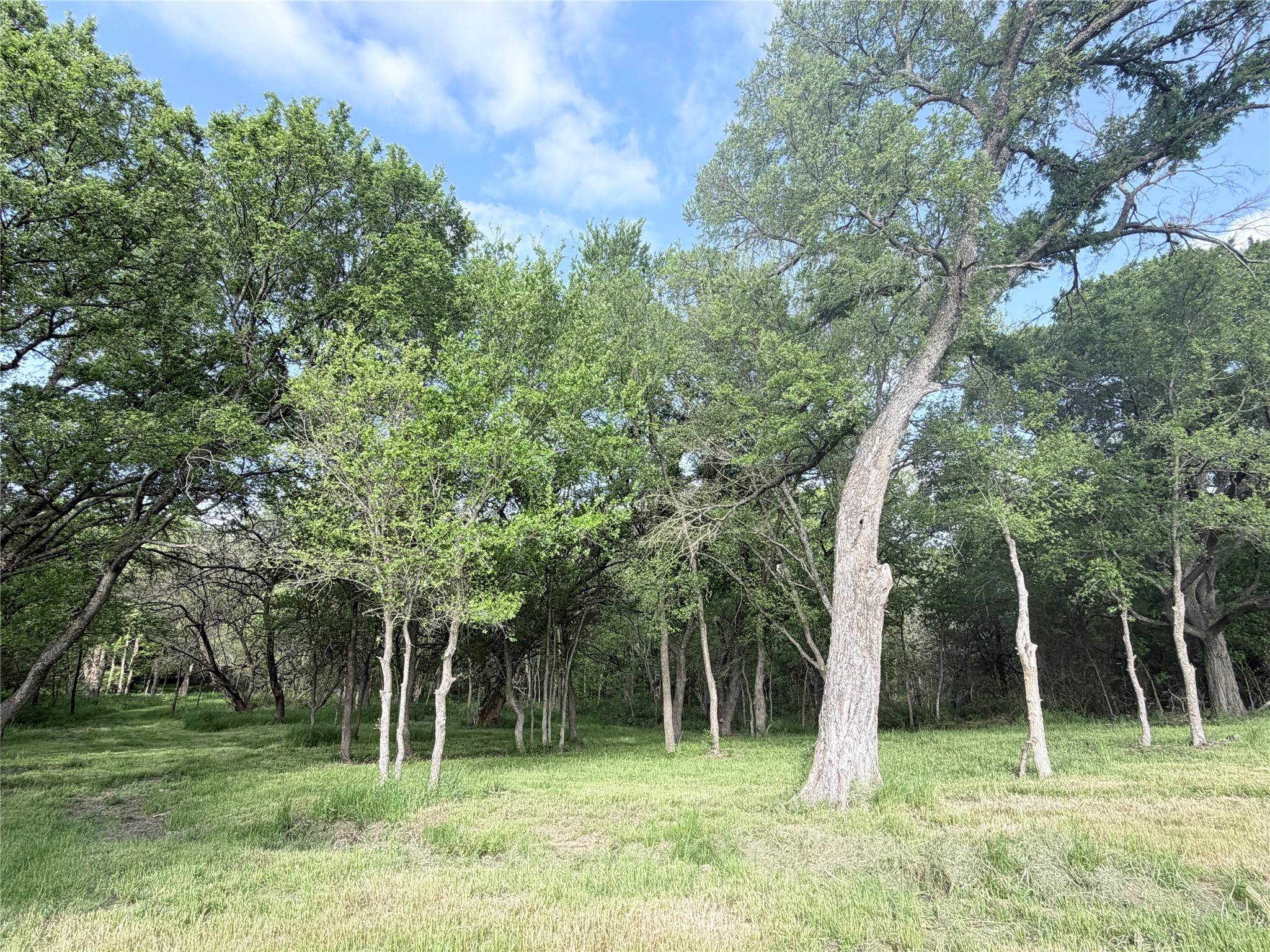 5243 Fm 2114 Abbott TX 76621