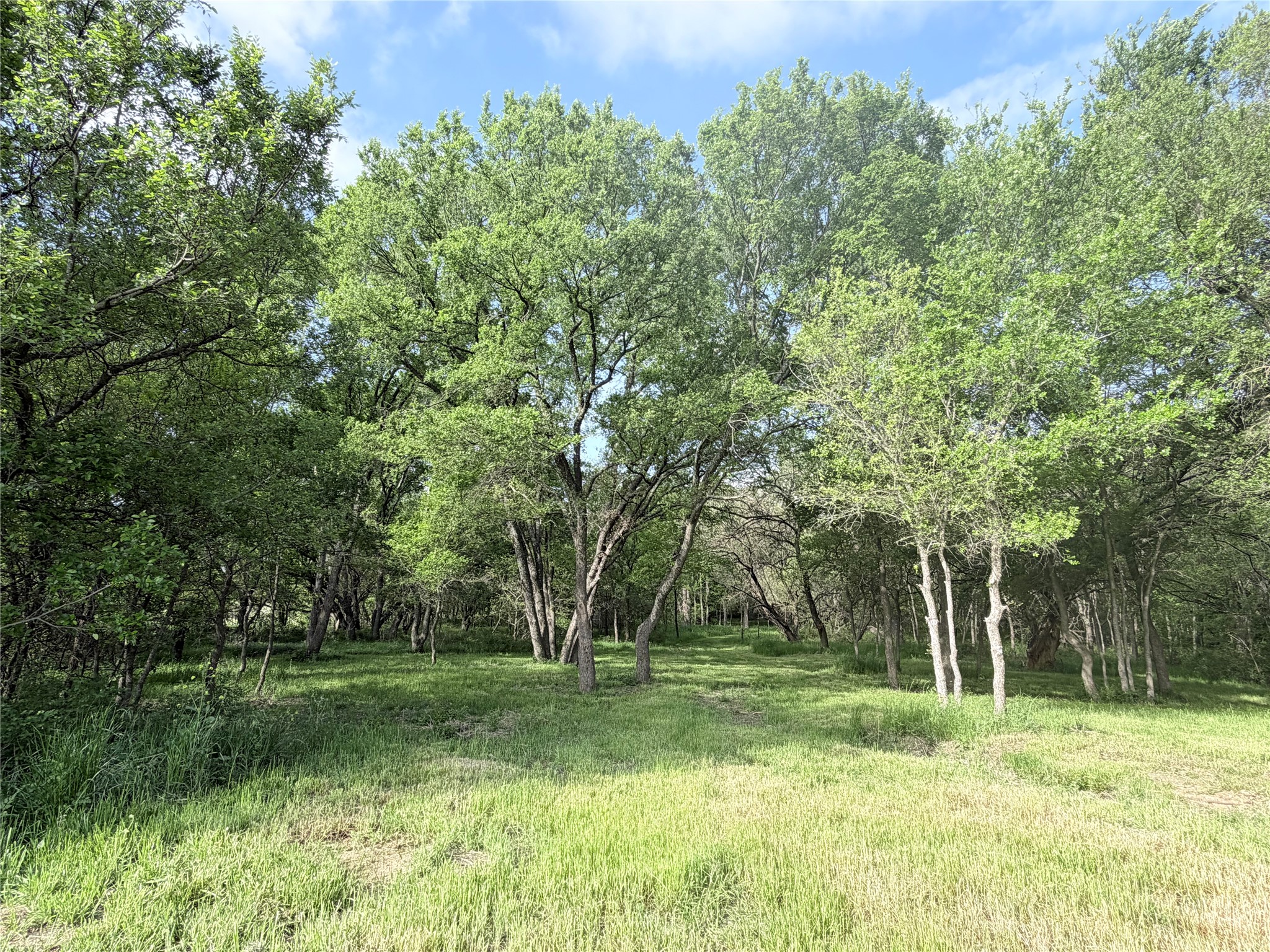 5243 Fm 2114 Abbott TX 76621
