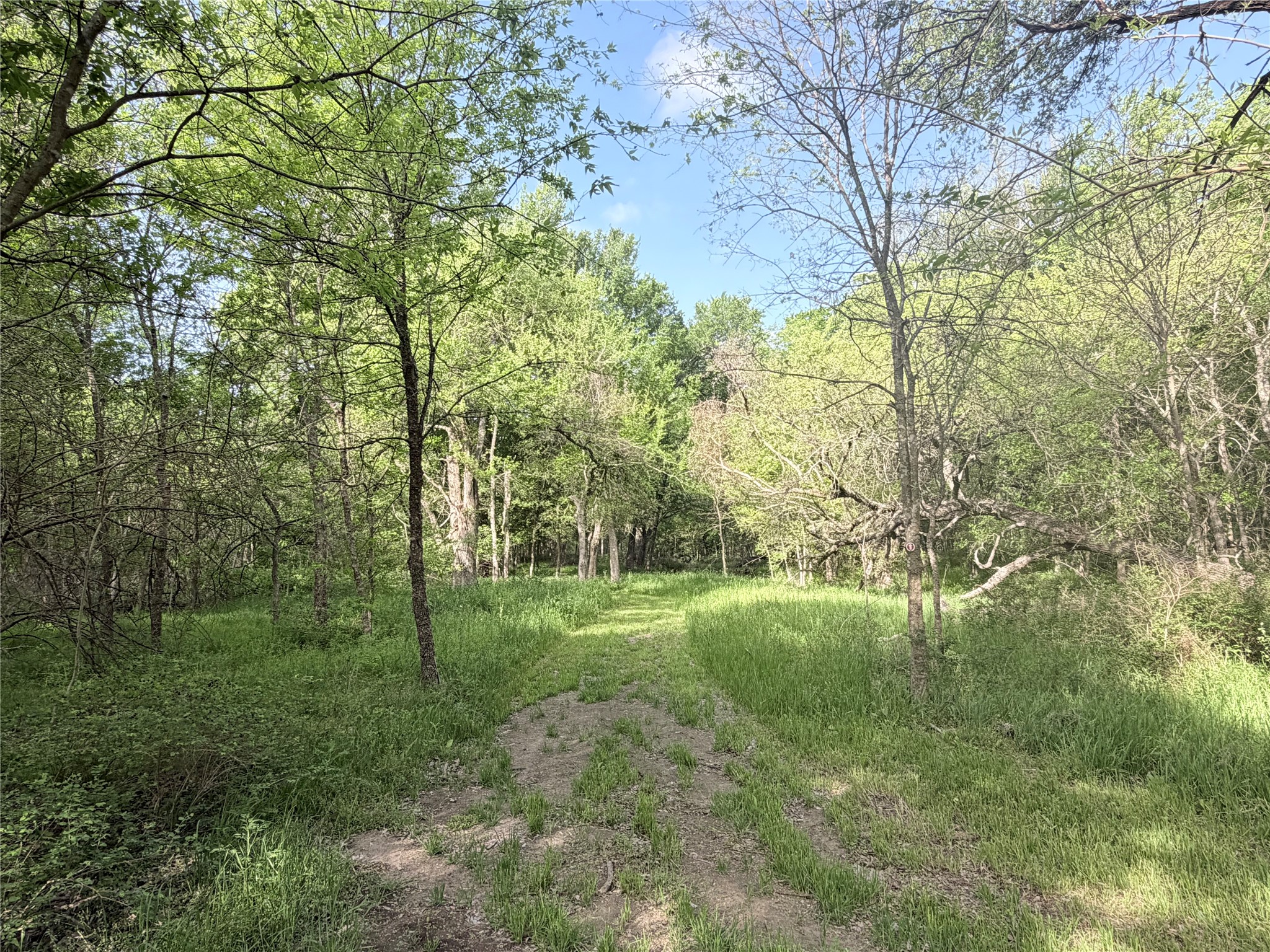 5243 Fm 2114 Abbott TX 76621