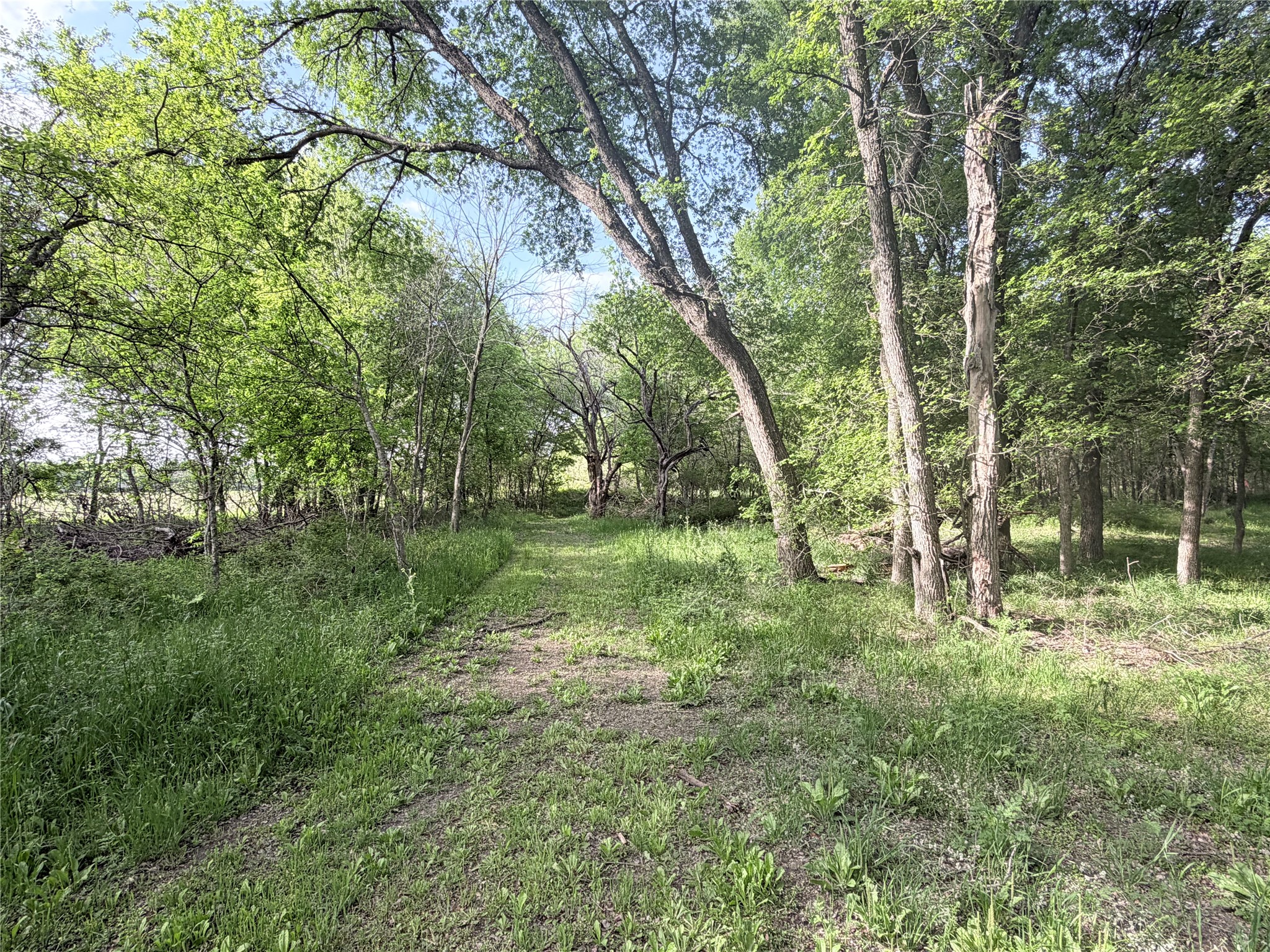 5243 Fm 2114 Abbott TX 76621