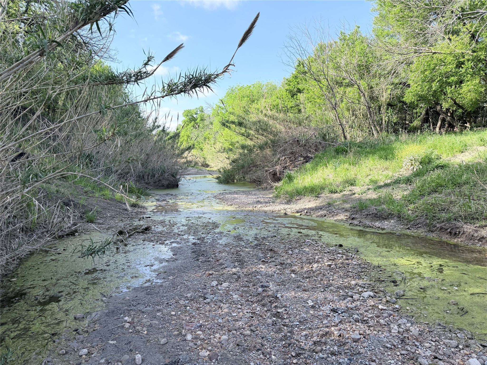 5243 Fm 2114 Abbott TX 76621