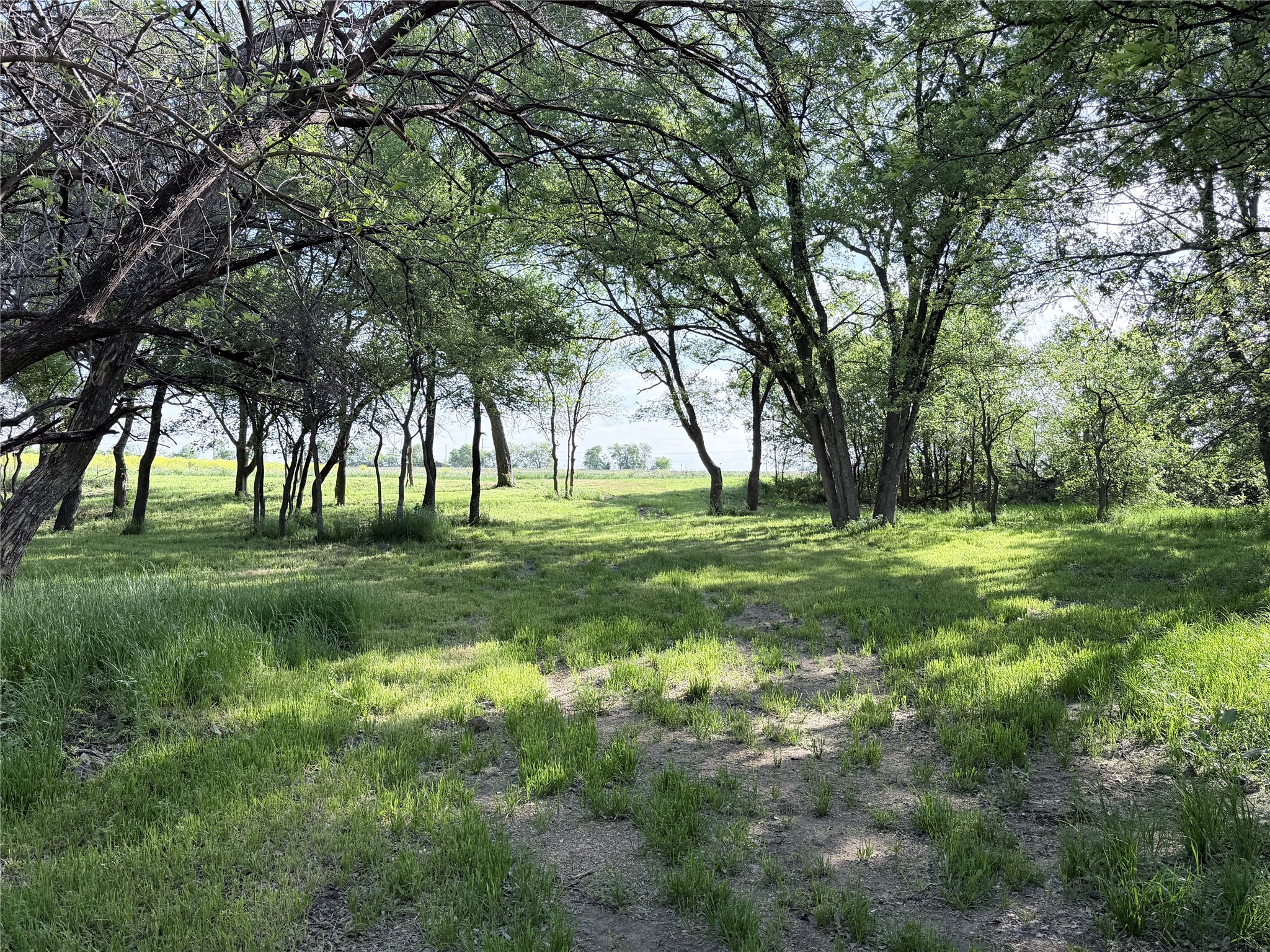 5243 Fm 2114 Abbott TX 76621