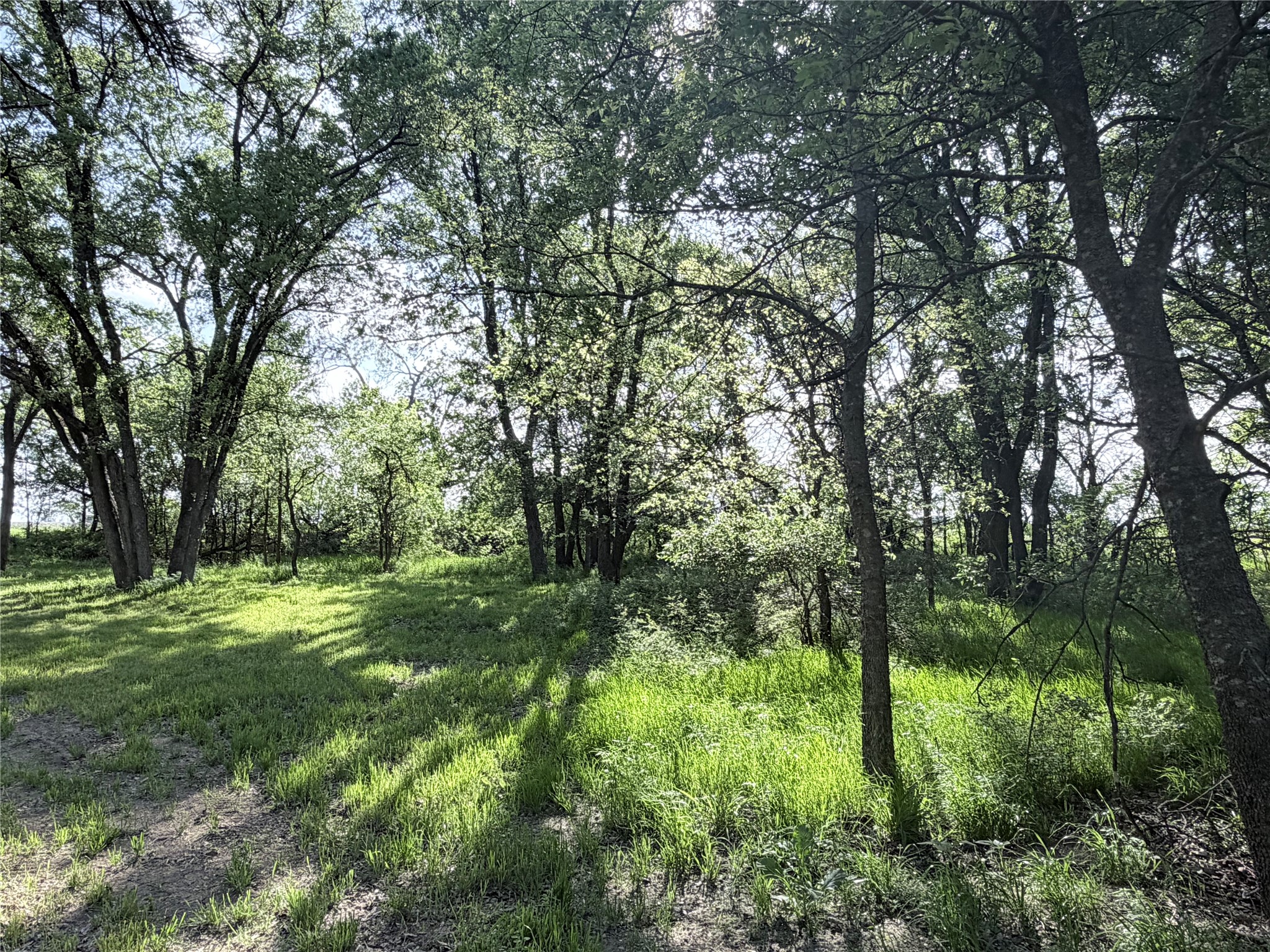 5243 Fm 2114 Abbott TX 76621