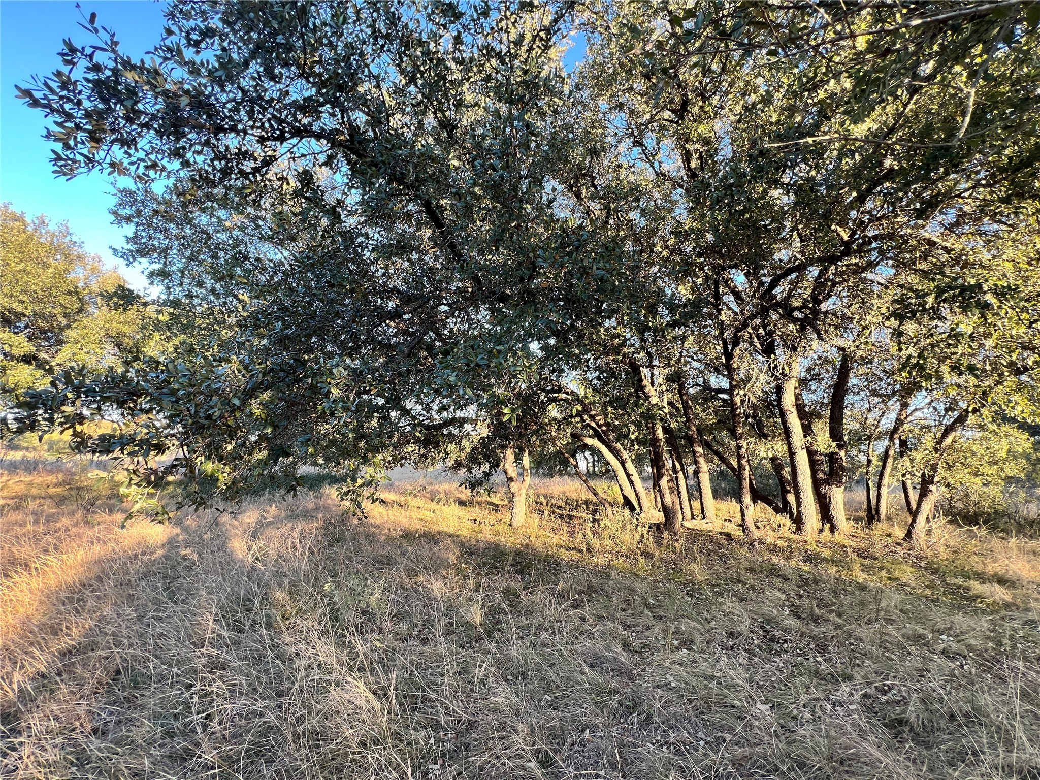 TBD2 Feather Bay Drive Brownwood TX 76801
