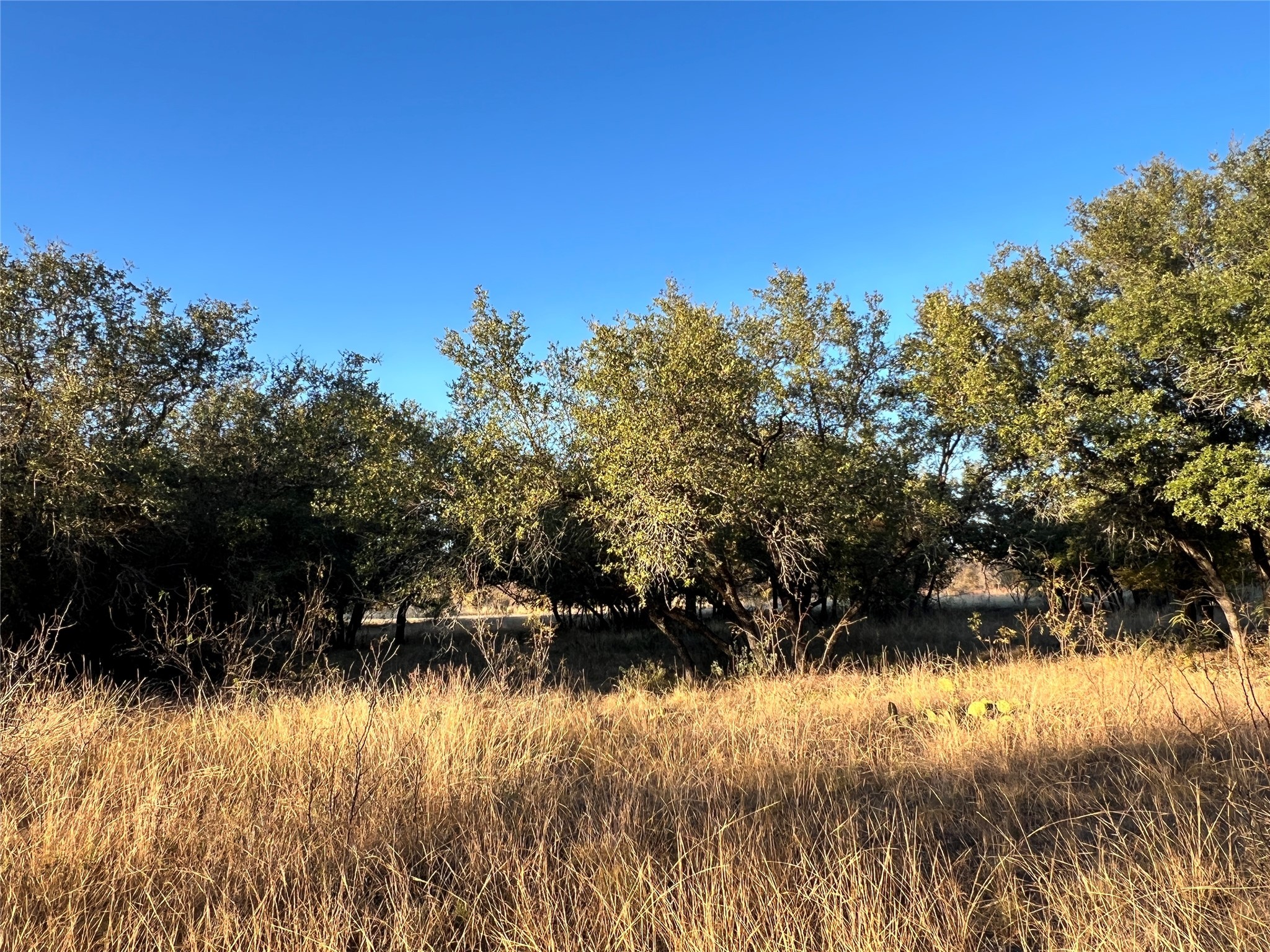 TBD2 Feather Bay Drive Brownwood TX 76801