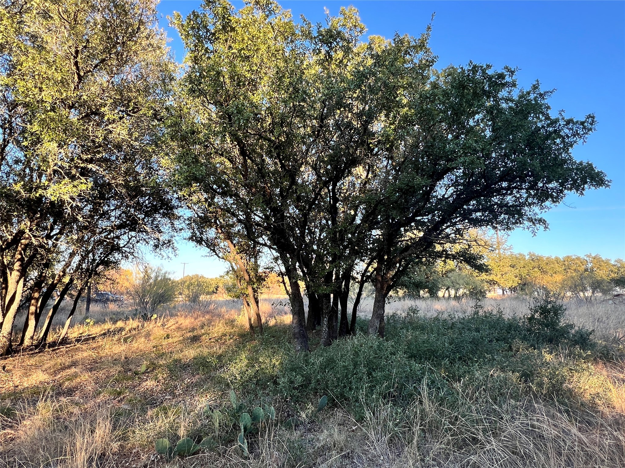TBD2 Feather Bay Drive Brownwood TX 76801