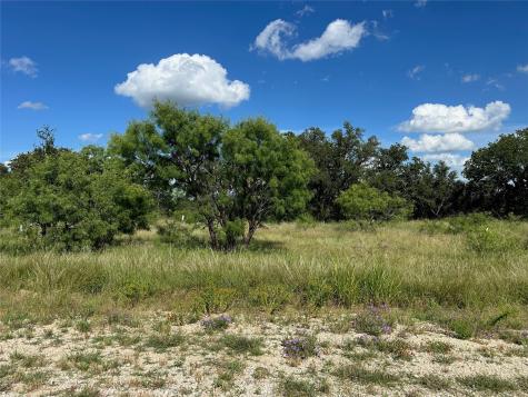 463 Feather Bay Drive Brownwood TX 76801