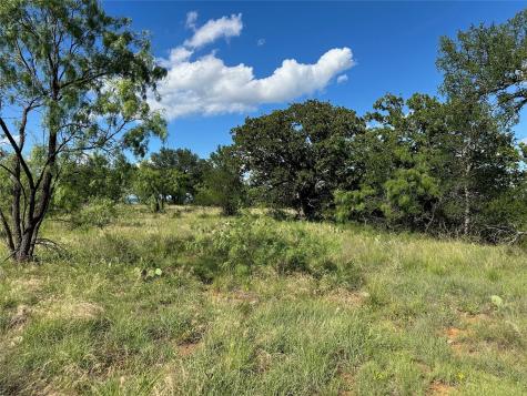 463 Feather Bay Drive Brownwood TX 76801