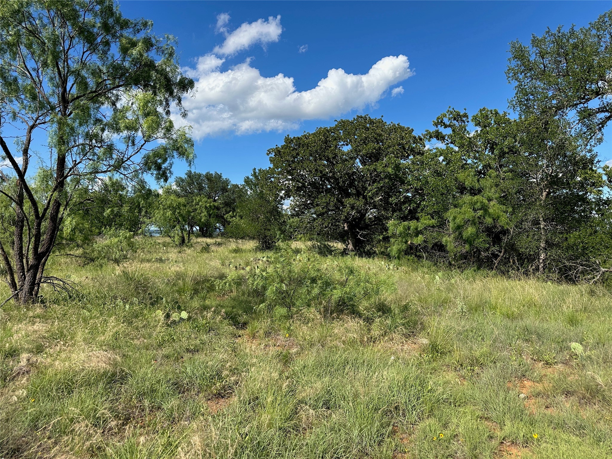 463 Feather Bay Drive Brownwood TX 76801