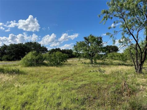 463 Feather Bay Drive Brownwood TX 76801