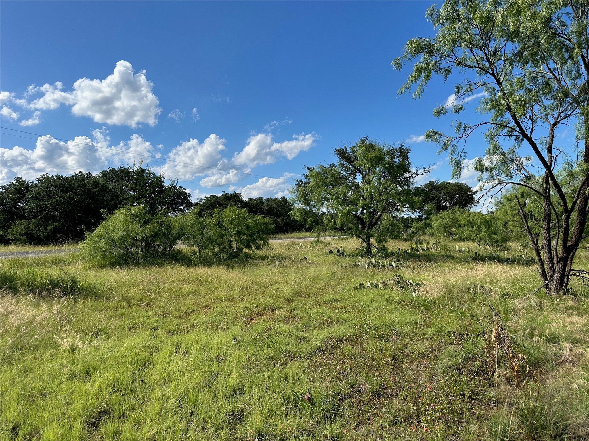 463 Feather Bay Drive Brownwood TX 76801