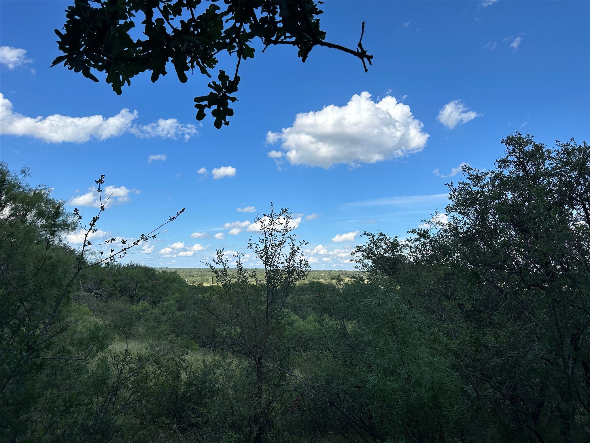 463 Feather Bay Drive Brownwood TX 76801