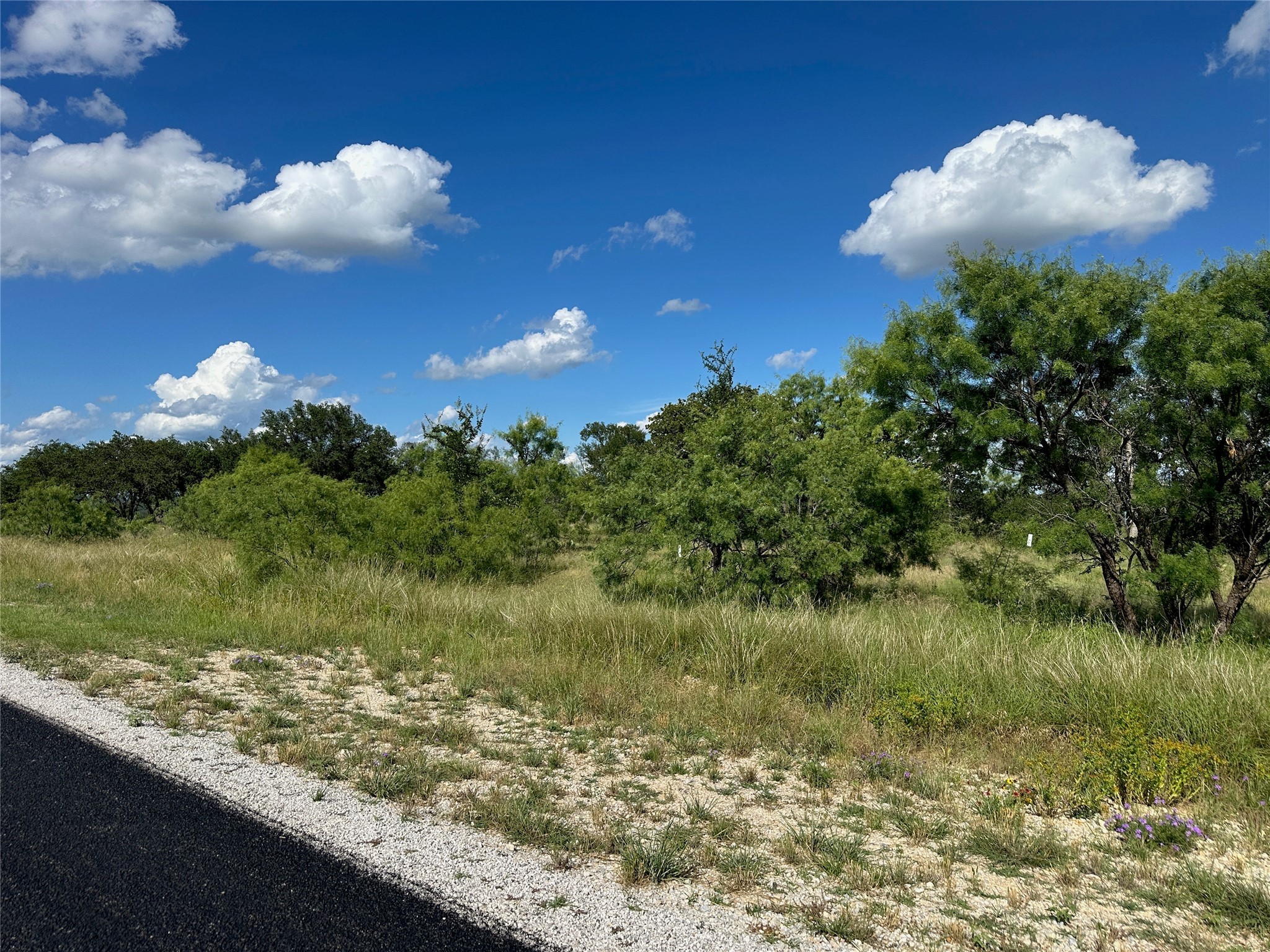 463 Feather Bay Drive Brownwood TX 76801