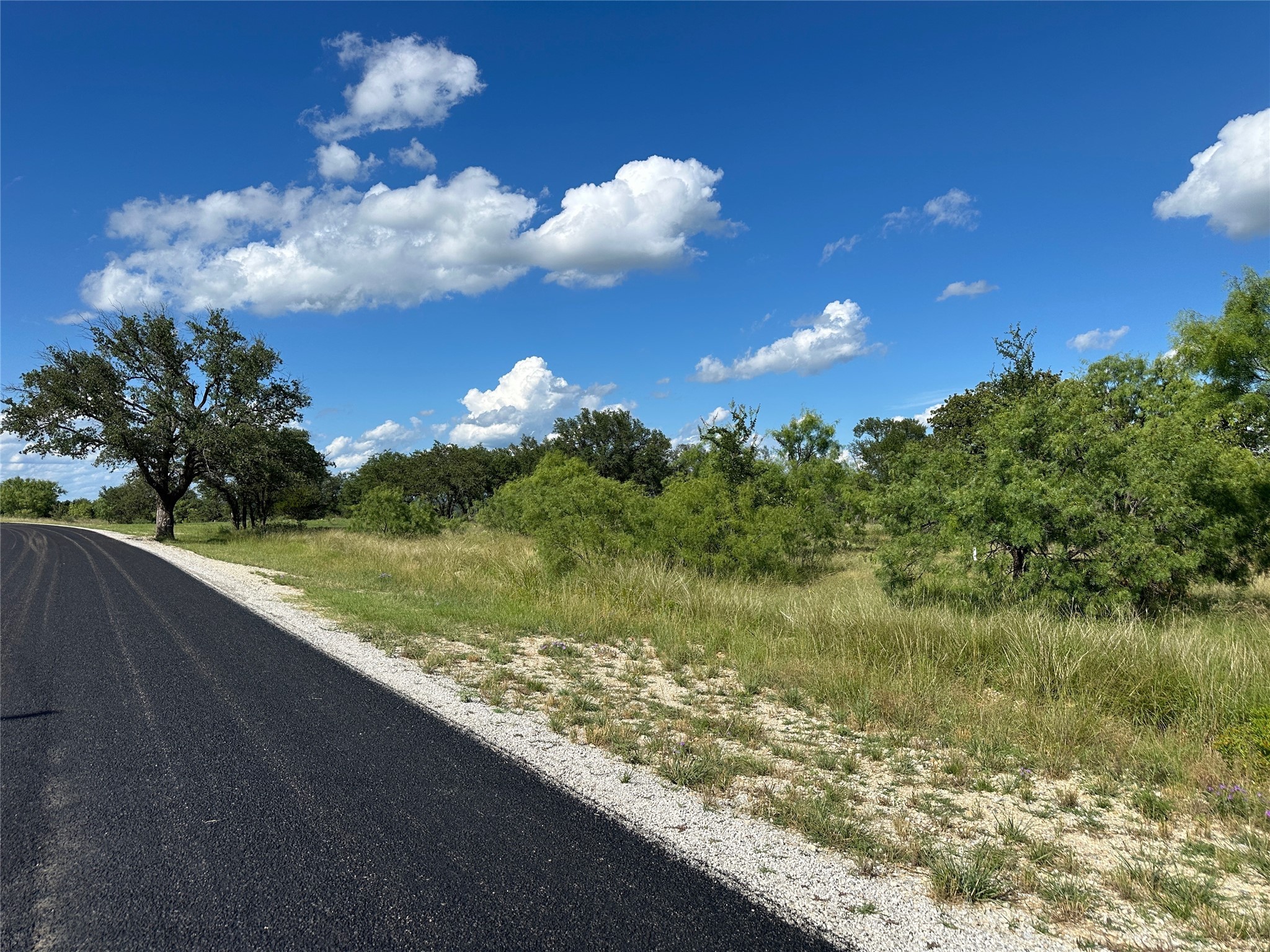 463 Feather Bay Drive Brownwood TX 76801