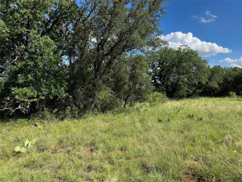 463 Feather Bay Drive Brownwood TX 76801