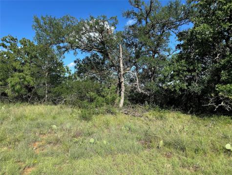 463 Feather Bay Drive Brownwood TX 76801