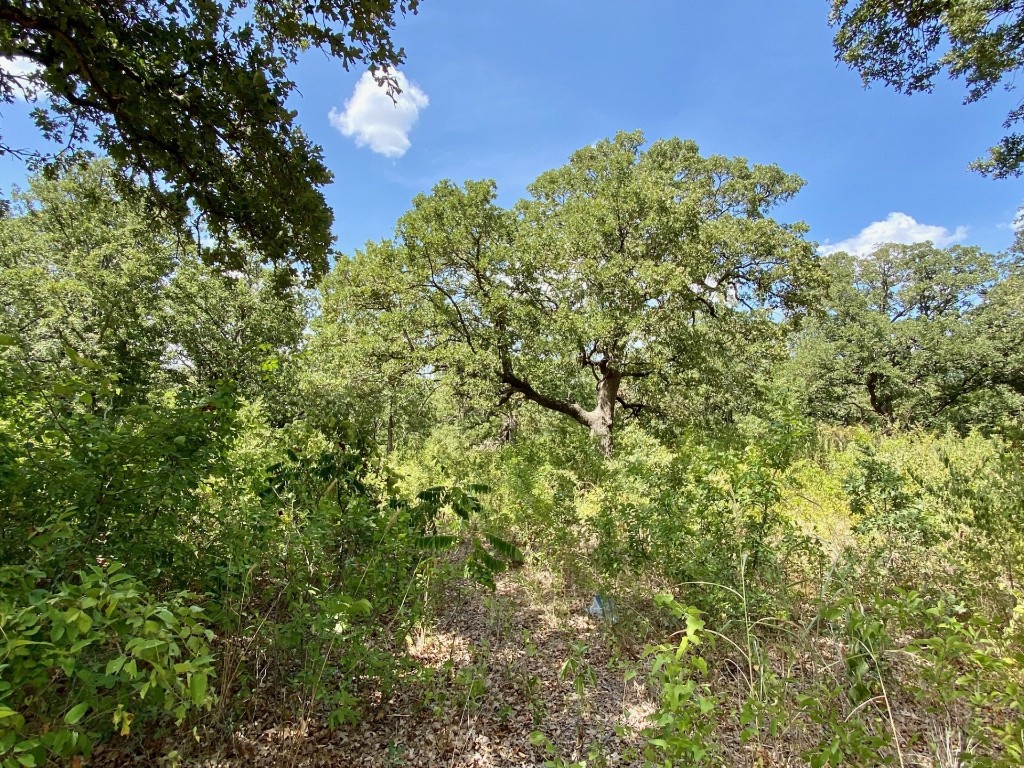 Tbd Timber Creek Stephenville TX 76401