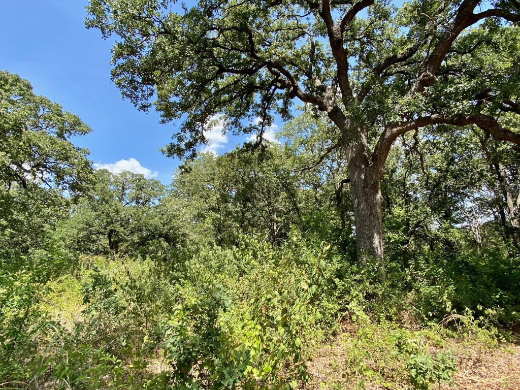 Tbd Timber Creek Stephenville TX 76401