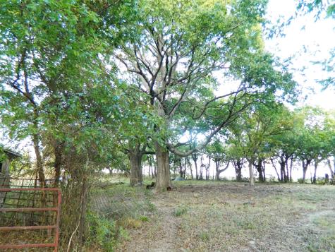 6323 Fm 896 Highway Bonham TX 75418