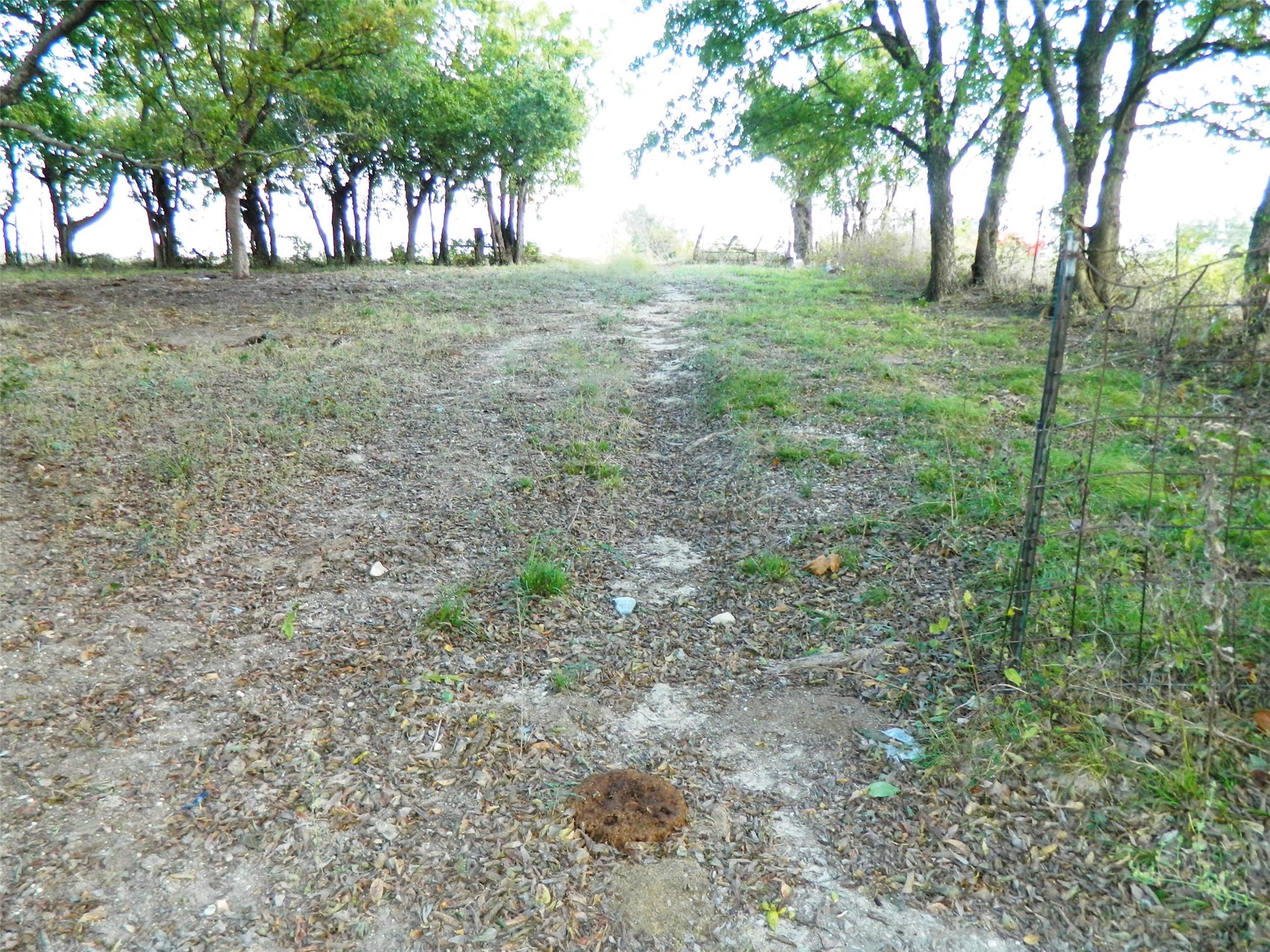 6323 Fm 896 Highway Bonham TX 75418
