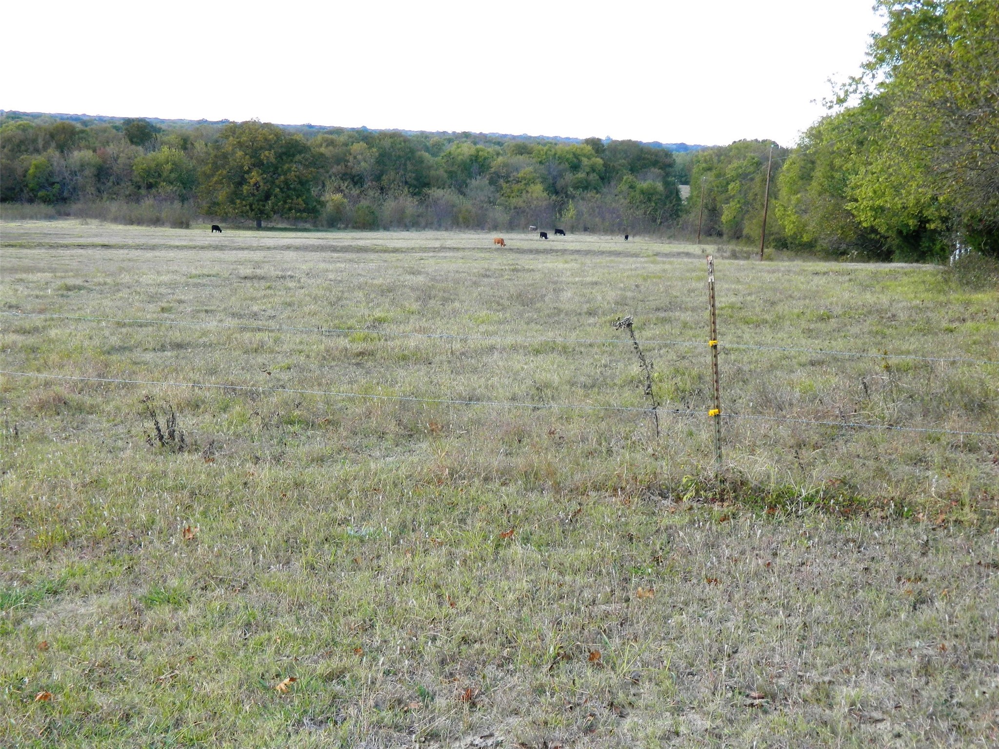 6323 Fm 896 Highway Bonham TX 75418