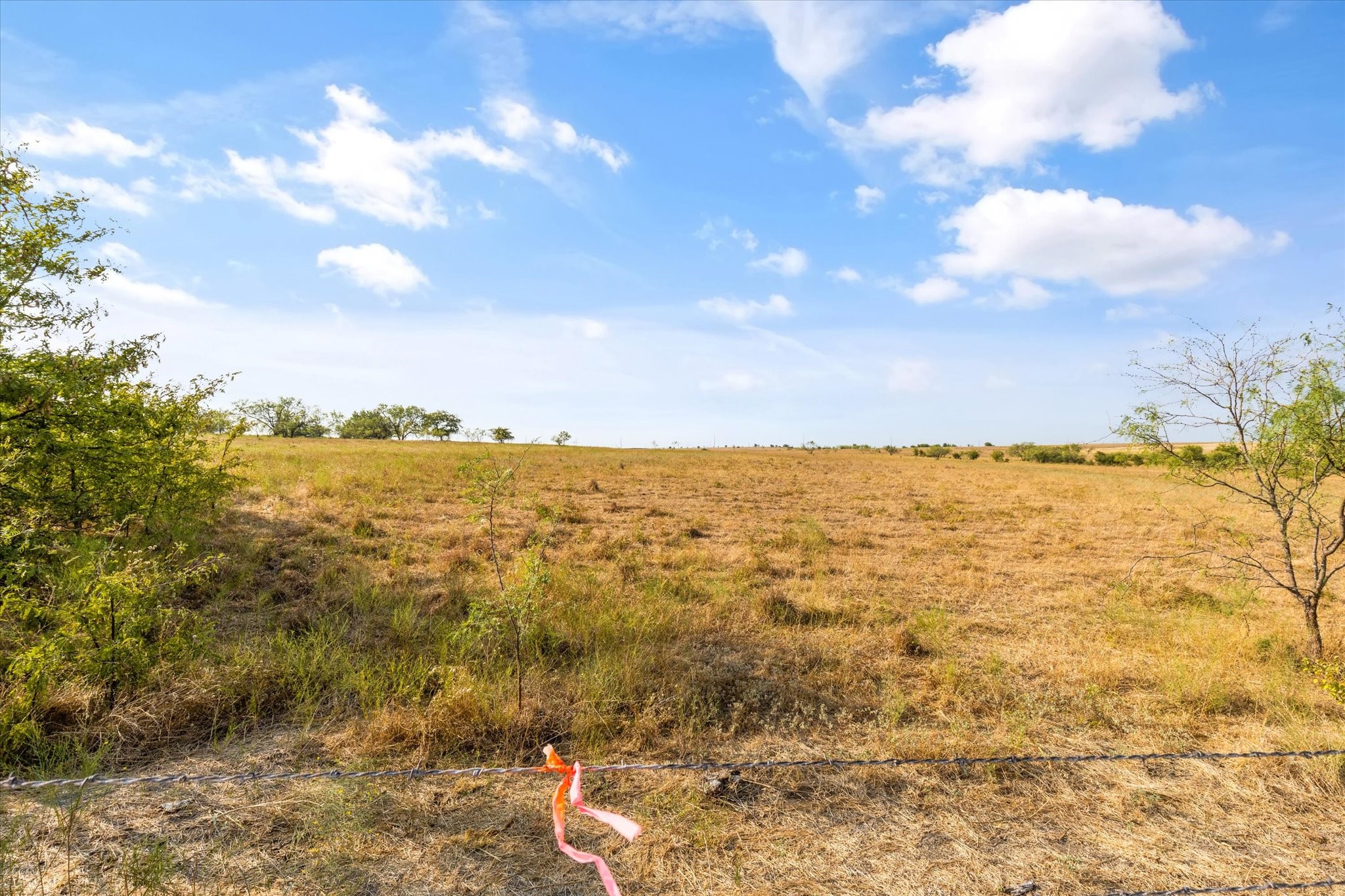 Tbd (LOT 8) Hcr 4439 Itasca TX 76055