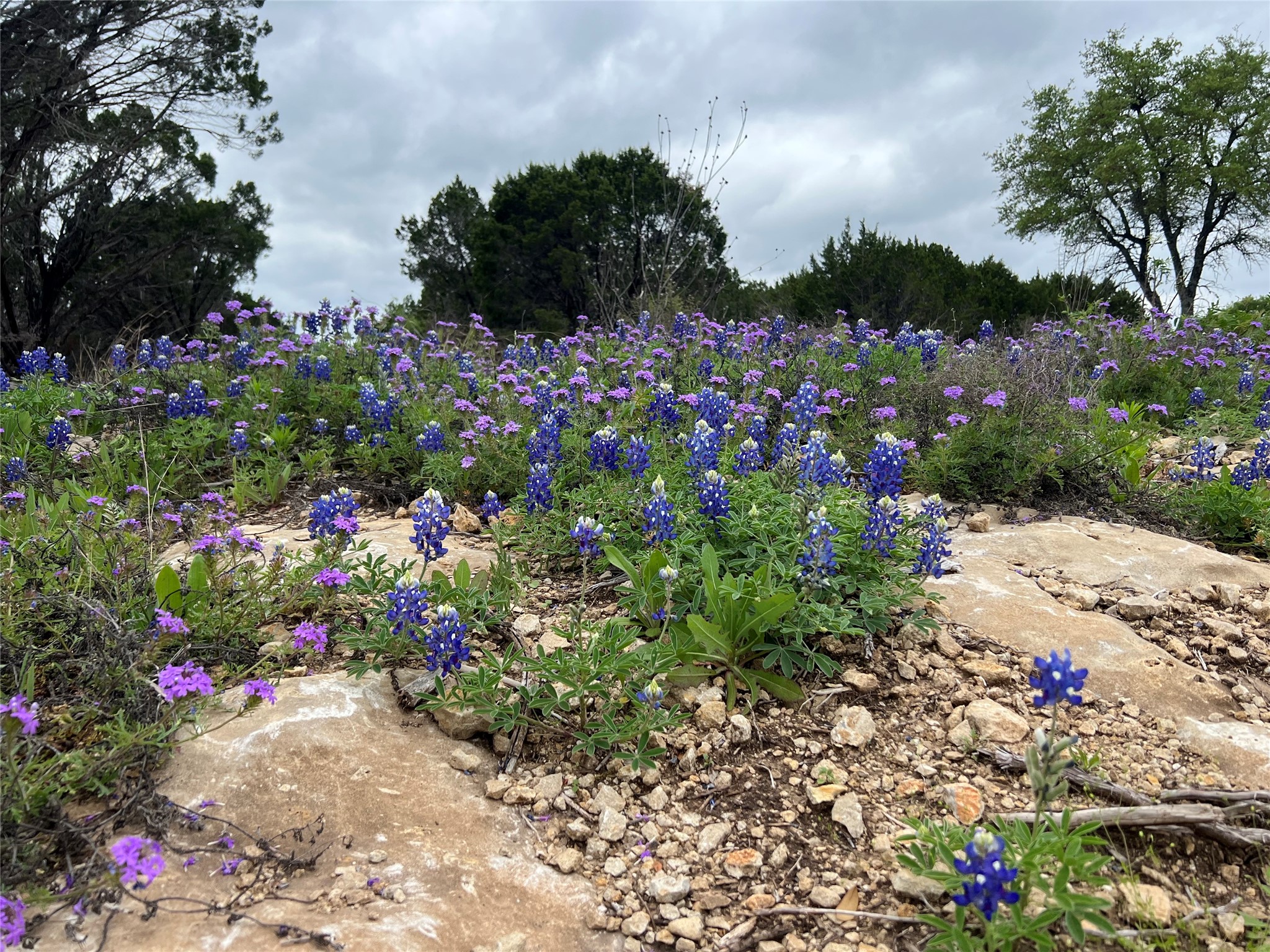 1081 Creek Crossing Road Nemo TX 76070