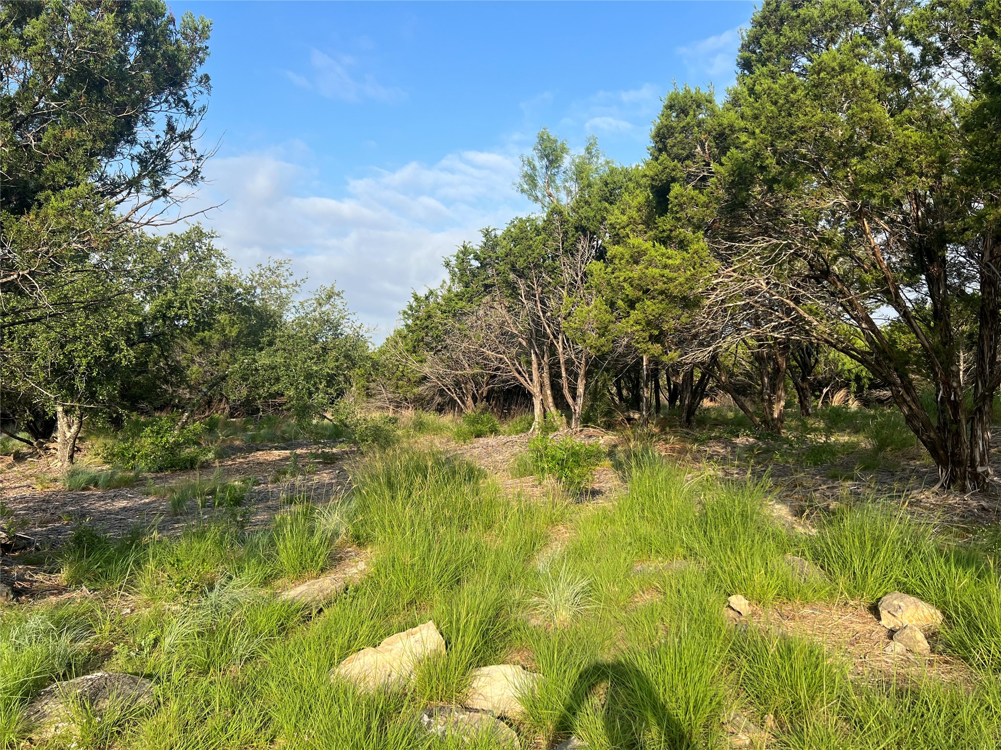 1081 Creek Crossing Road Nemo TX 76070