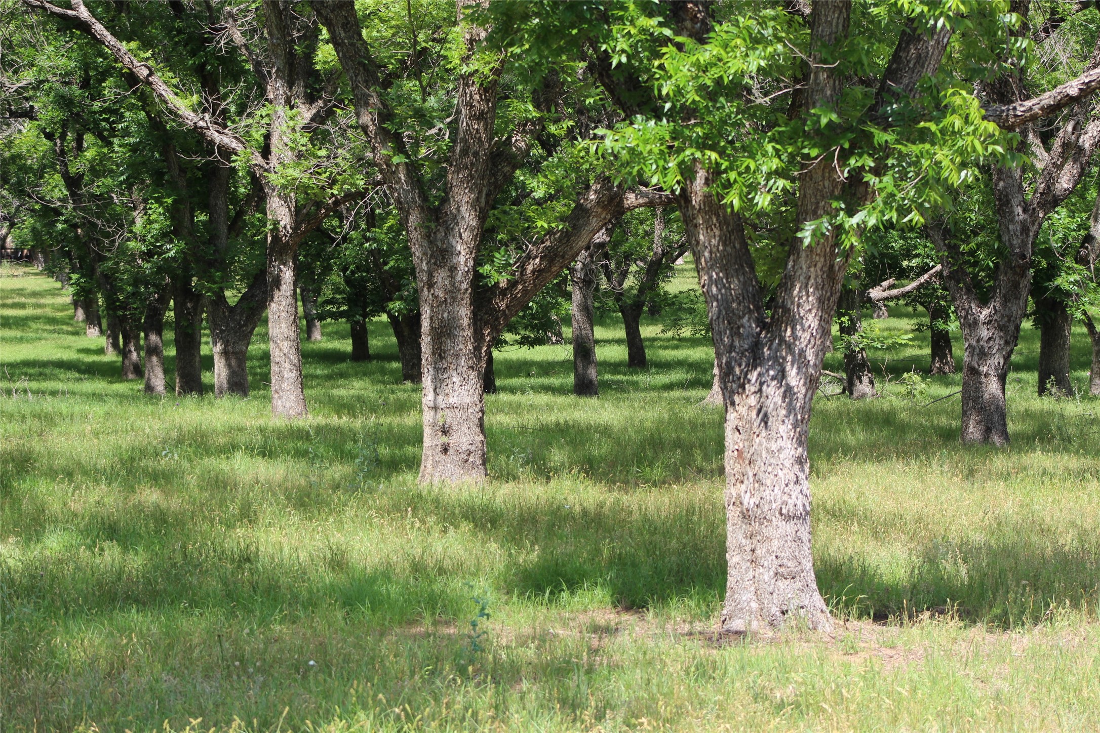 200 Poco Bueno Court Granbury TX 76049