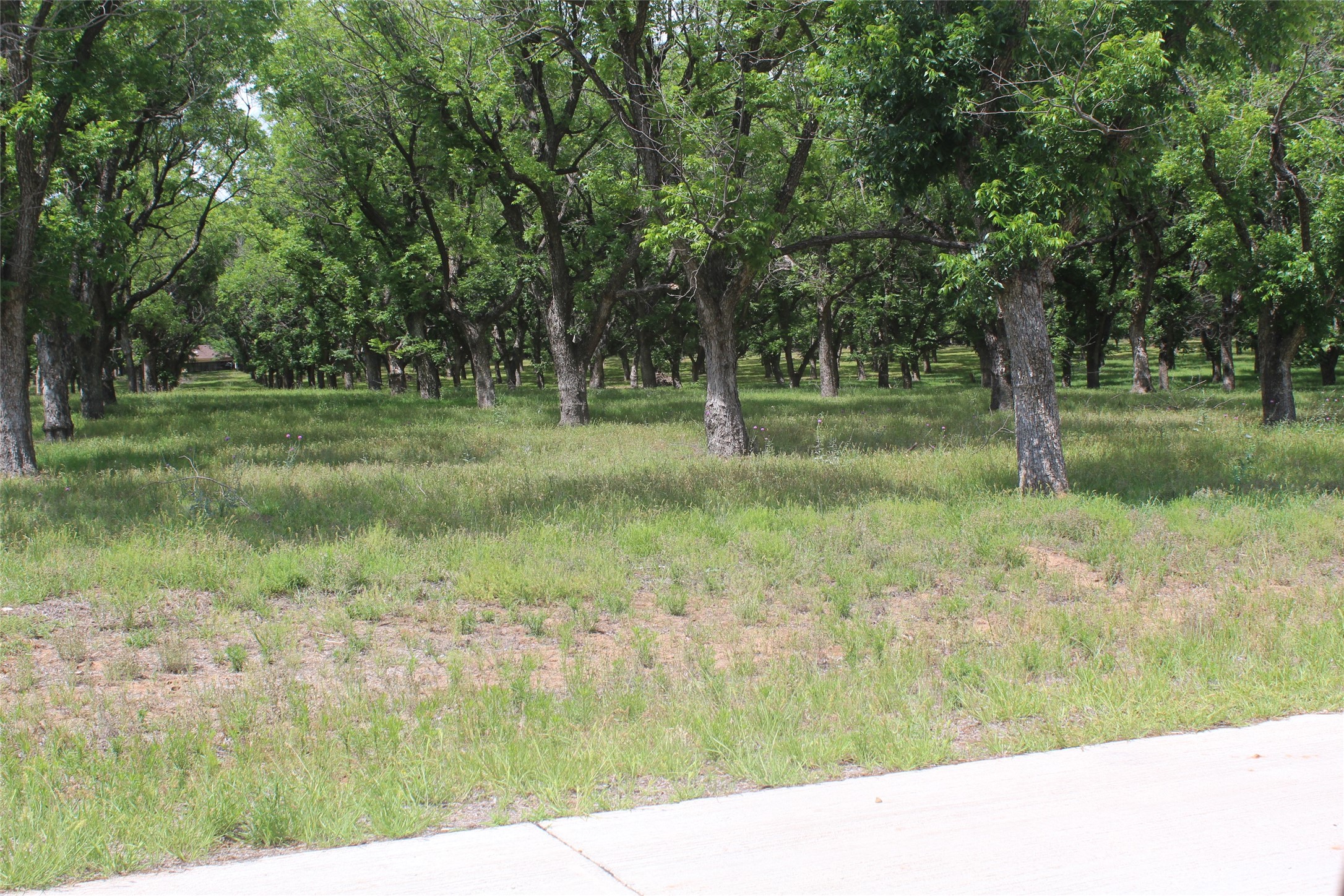200 Poco Bueno Court Granbury TX 76049
