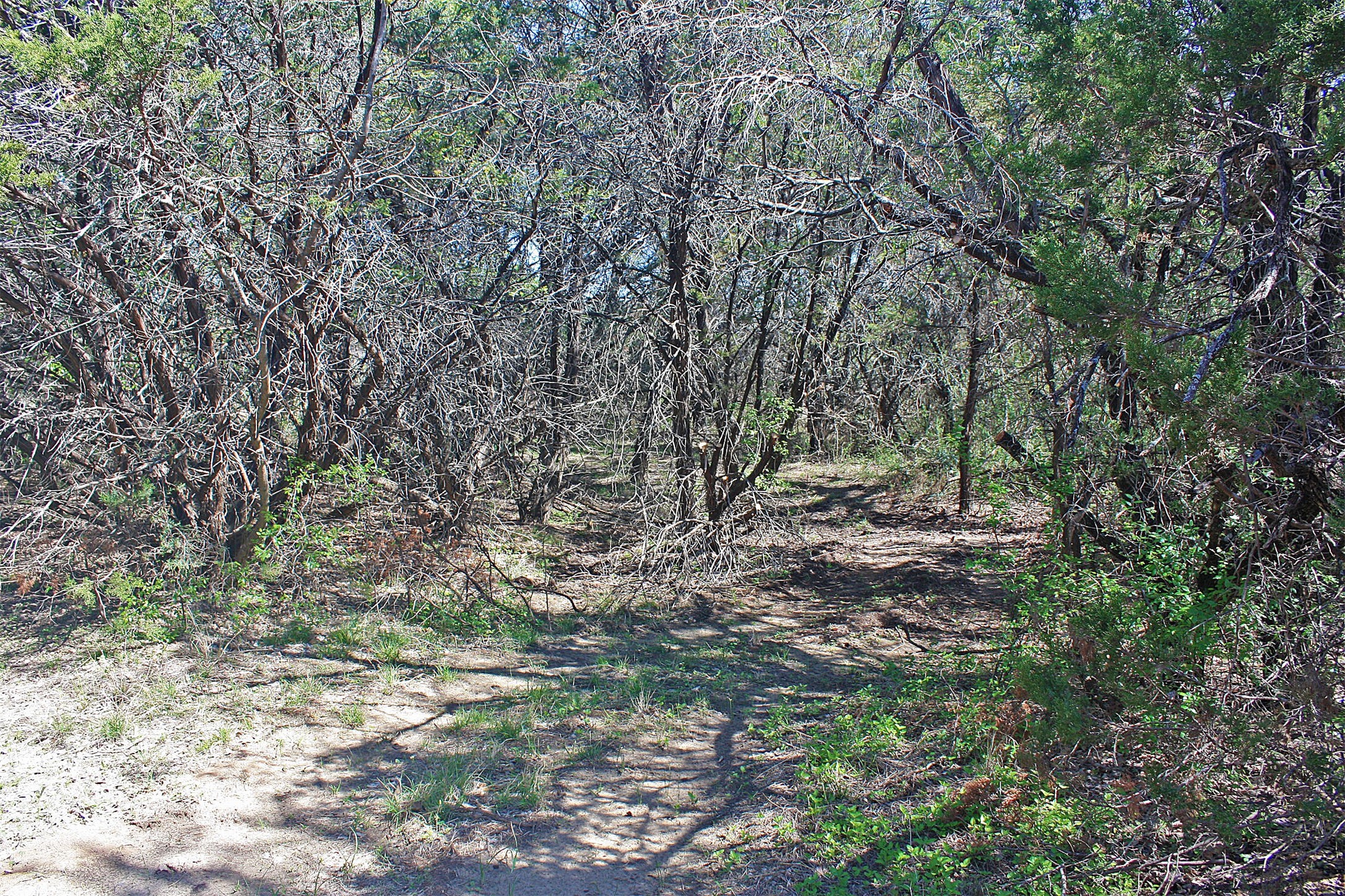 5274 Fm 2174 Cleburne TX 76033