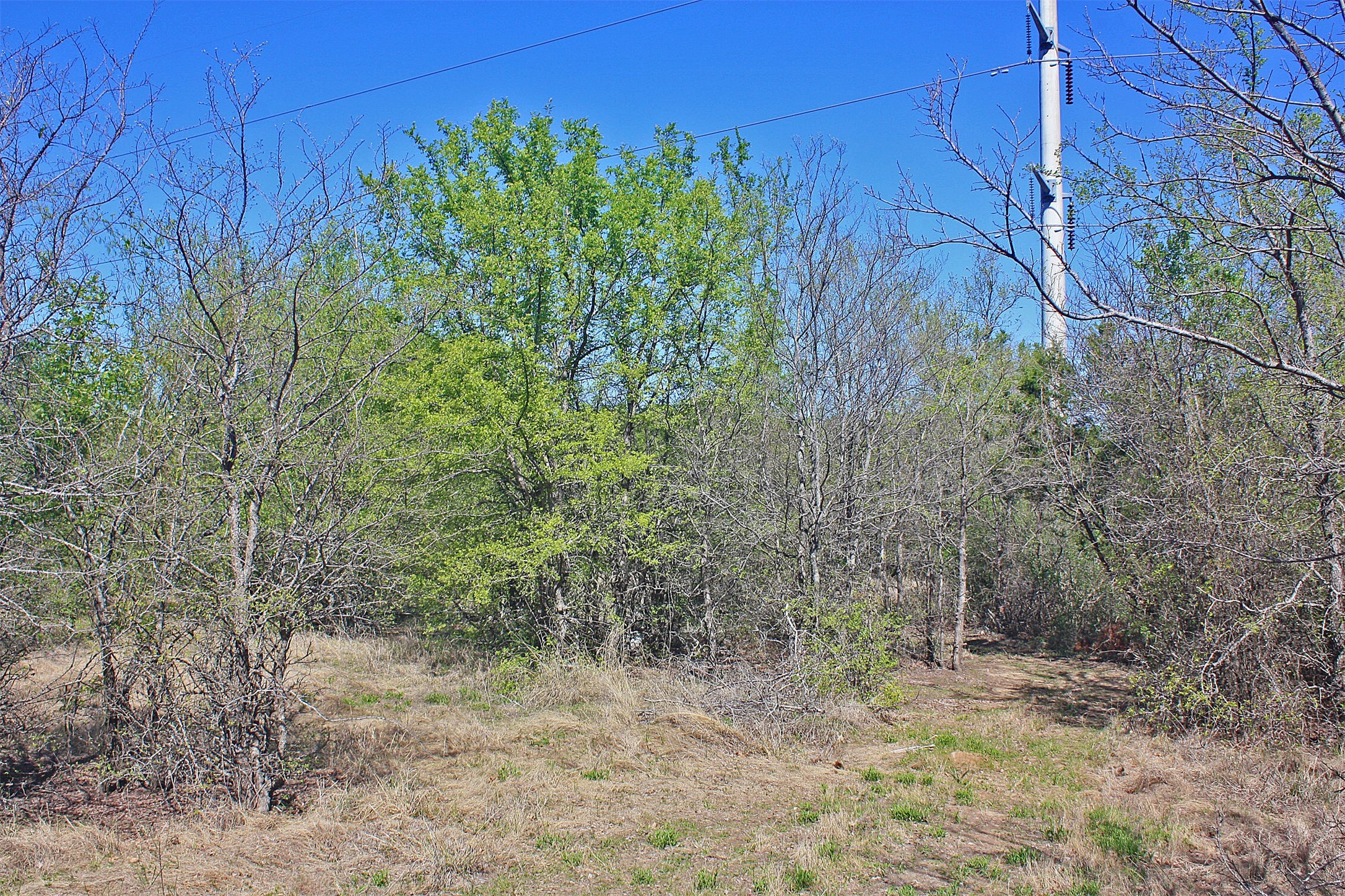 5274 Fm 2174 Cleburne TX 76033