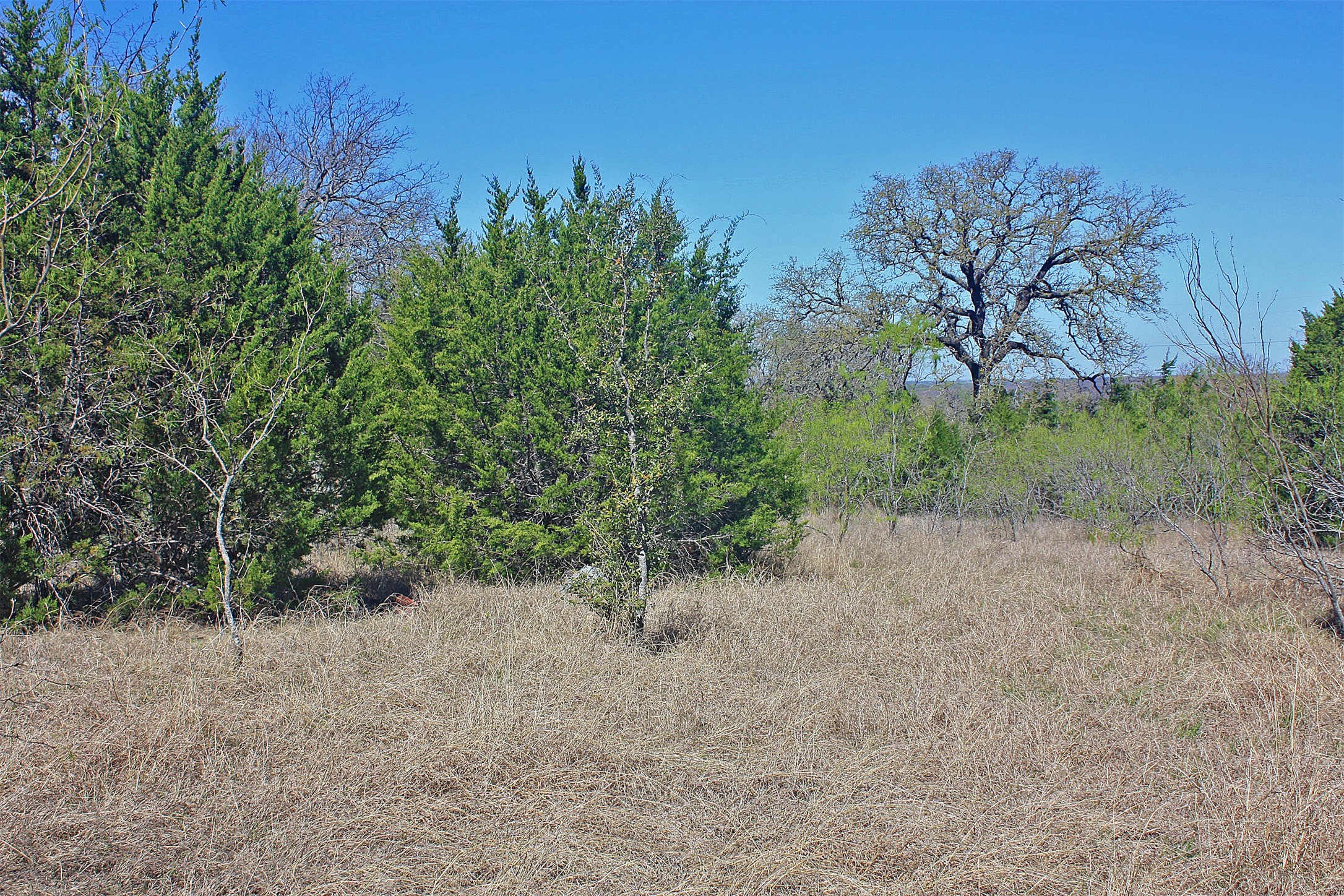 5274 Fm 2174 Cleburne TX 76033