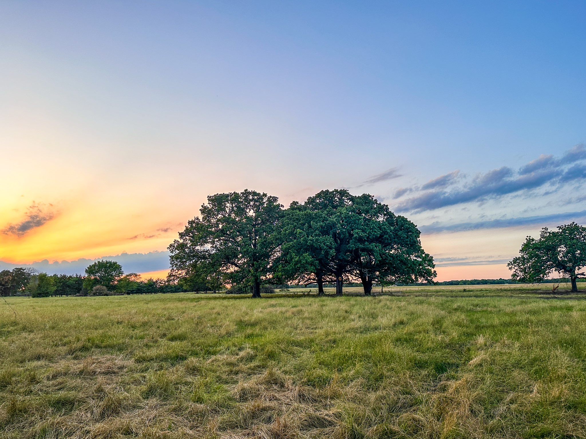 0 Cr 2245 Ivanhoe TX 75447