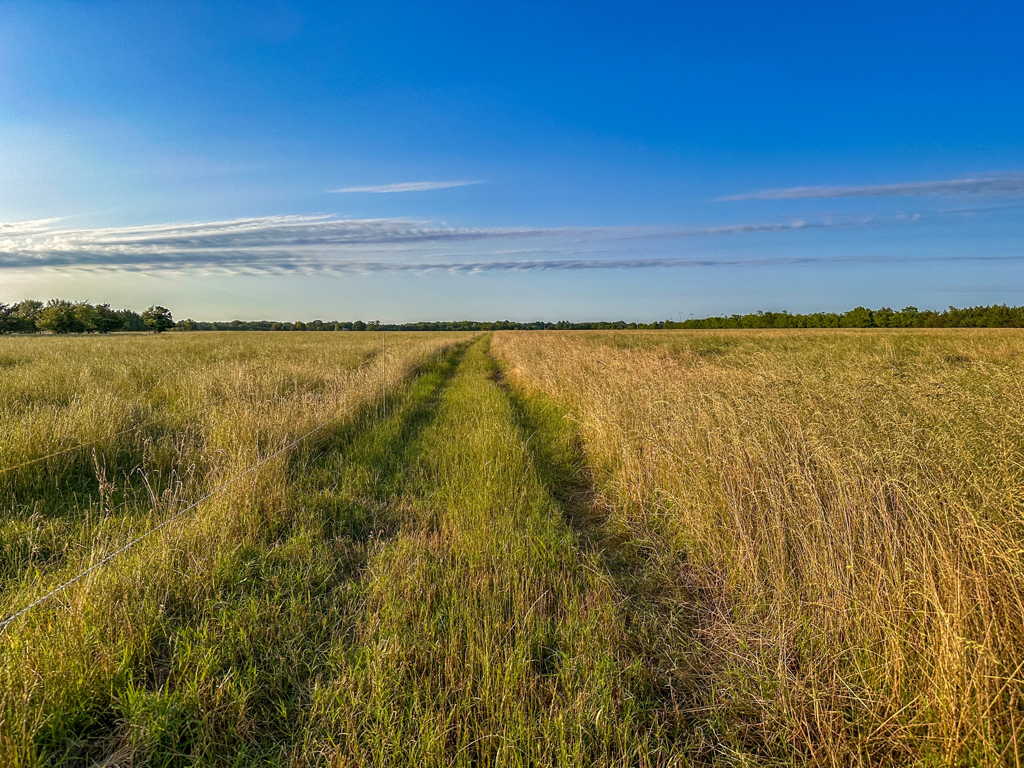0 Cr 2245 Ivanhoe TX 75447
