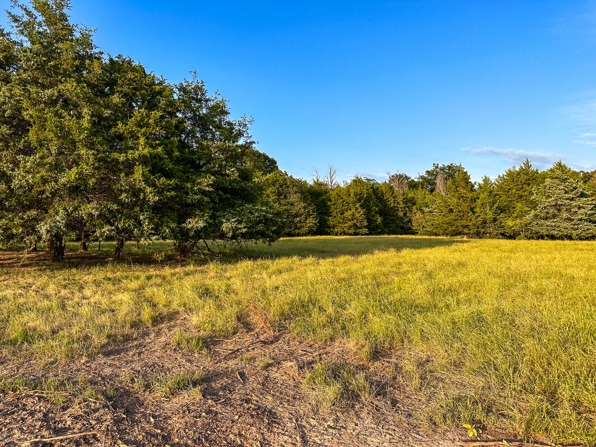 0 Cr 2245 Ivanhoe TX 75447