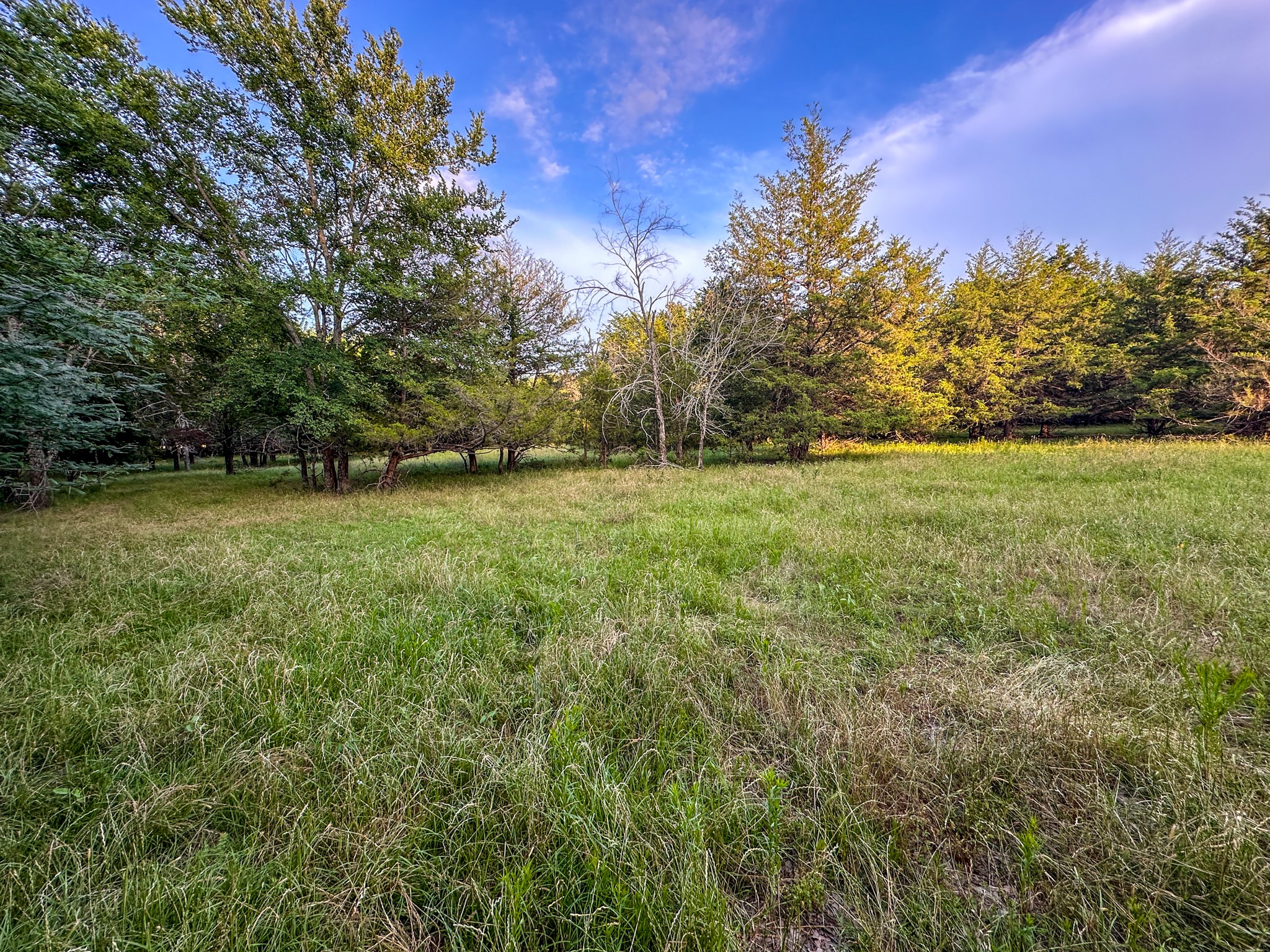 0 Cr 2245 Ivanhoe TX 75447