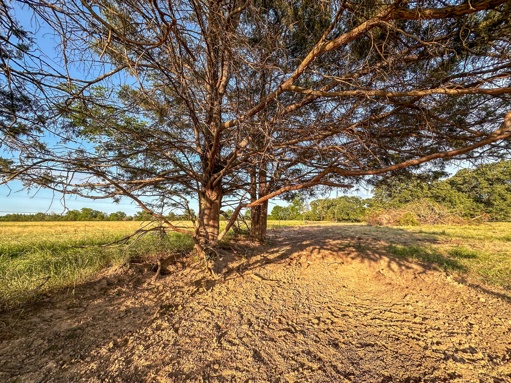 0 Cr 2245 Ivanhoe TX 75447