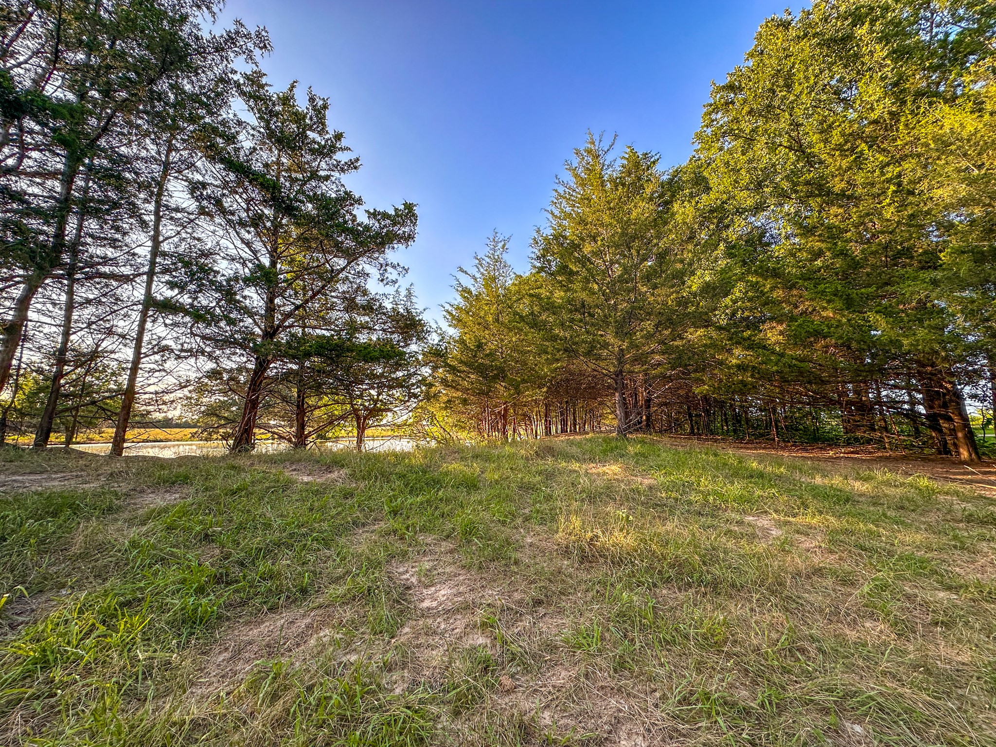0 Cr 2245 Ivanhoe TX 75447