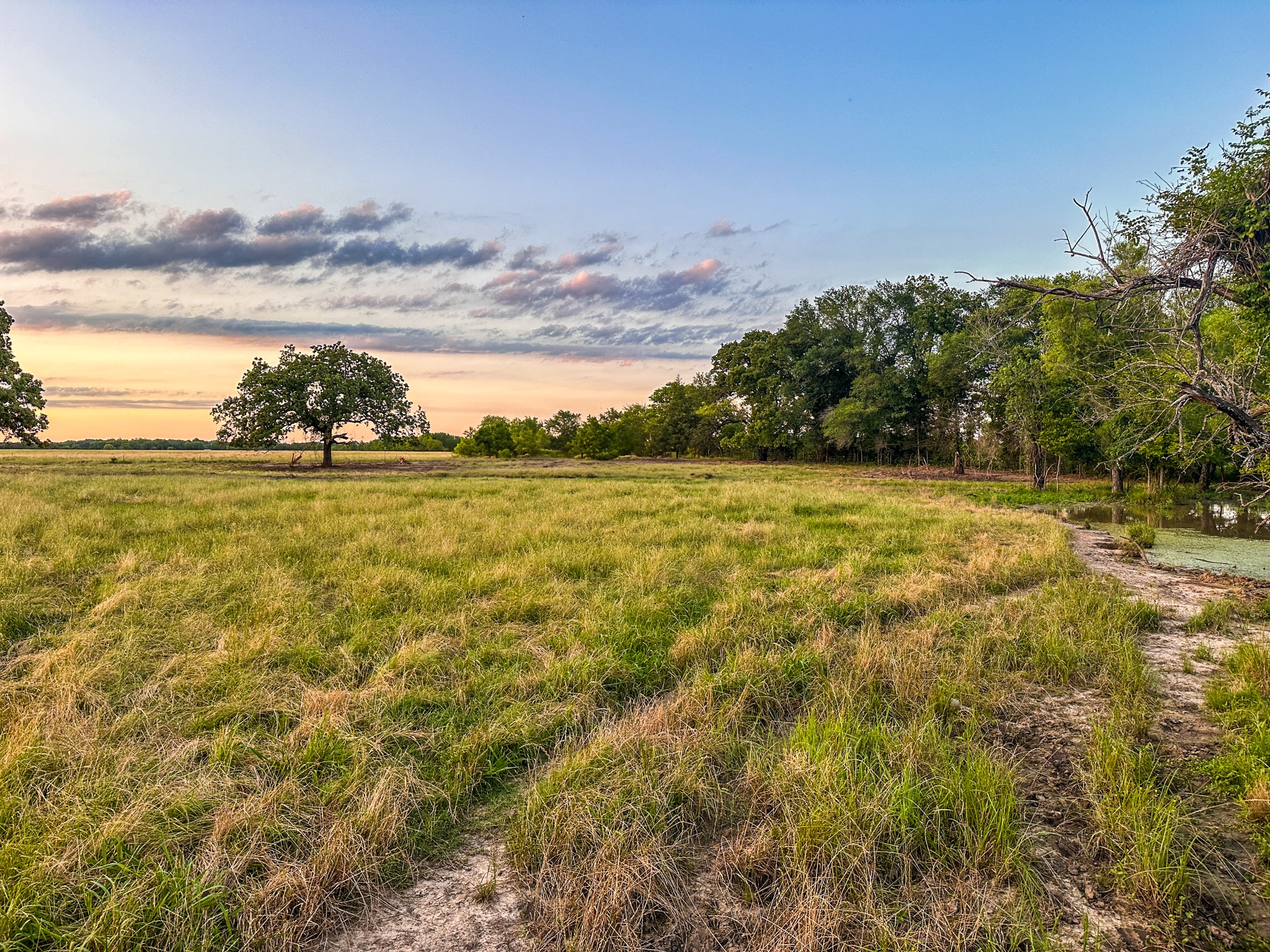 0 Cr 2245 Ivanhoe TX 75447