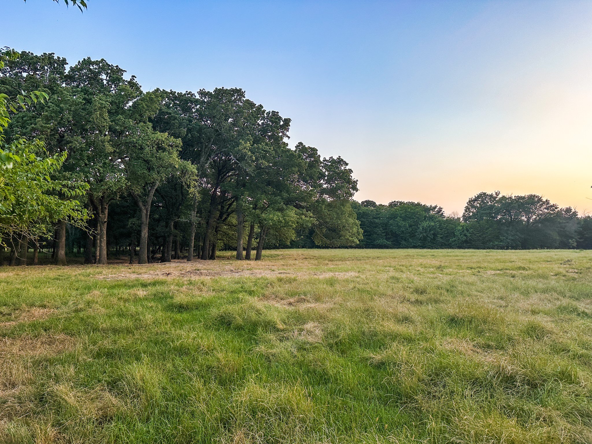 0 Cr 2245 Ivanhoe TX 75447