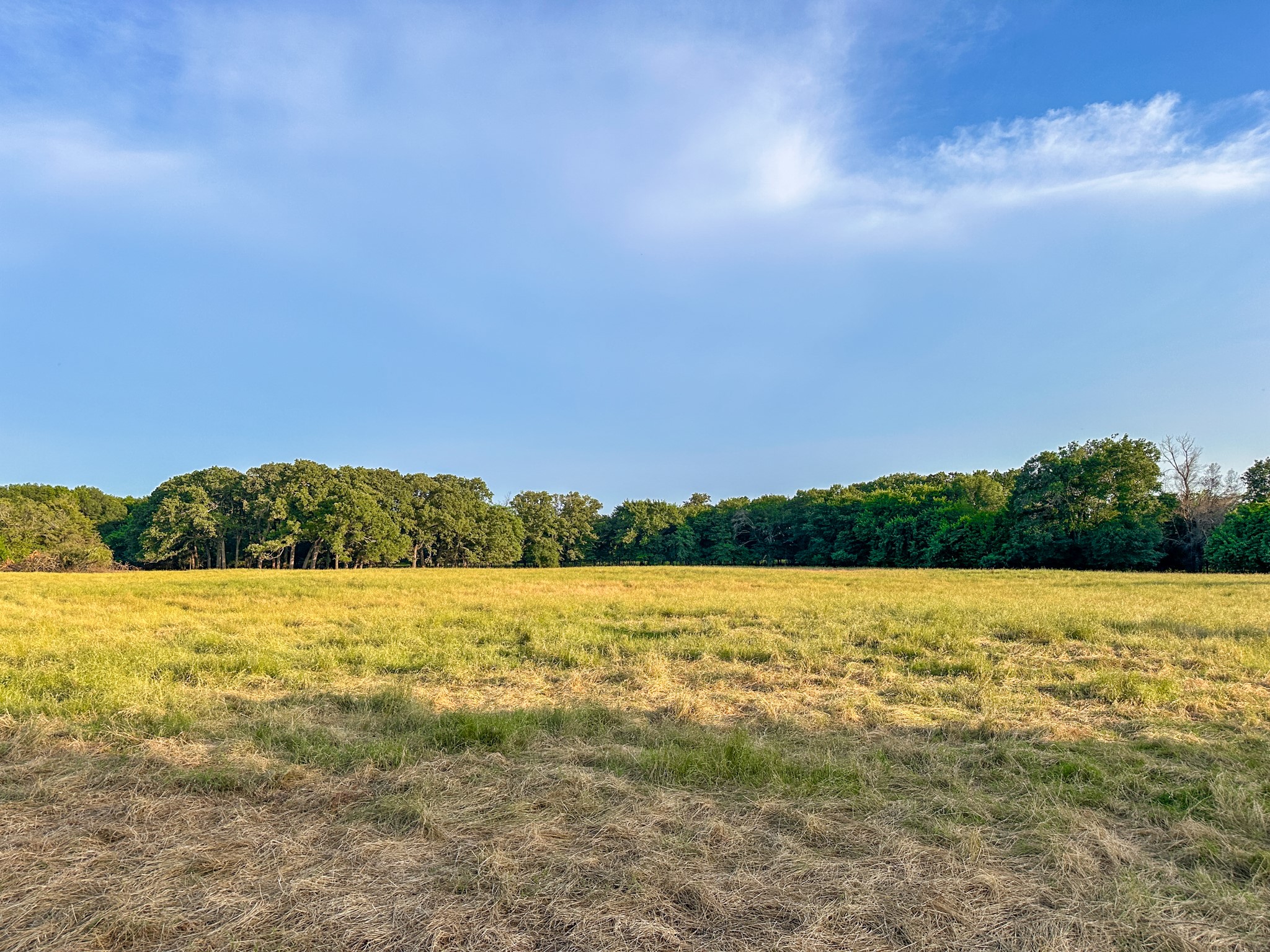 0 Cr 2245 Ivanhoe TX 75447