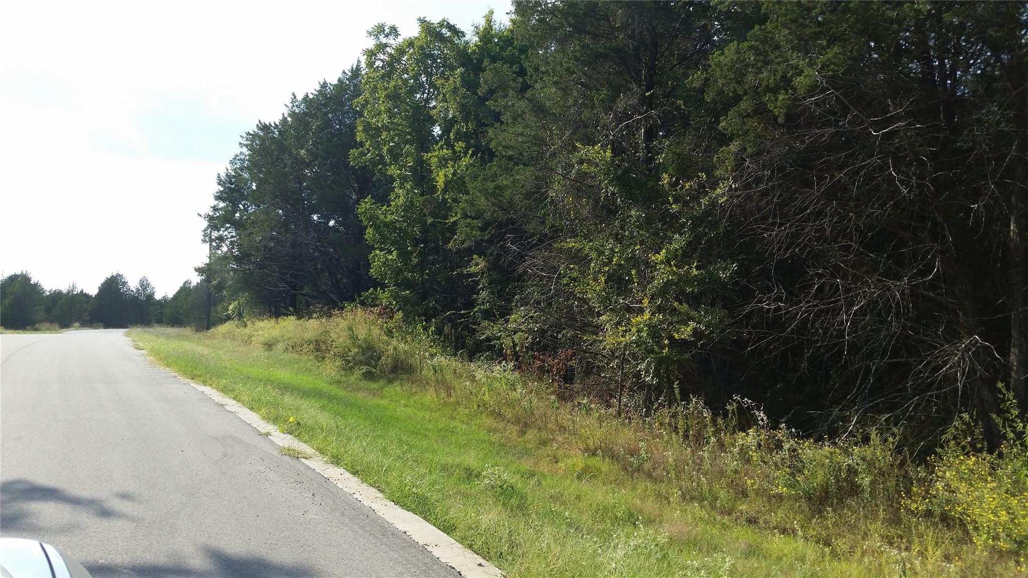 Lot 16 Dublin Circle Gordonville TX 76245